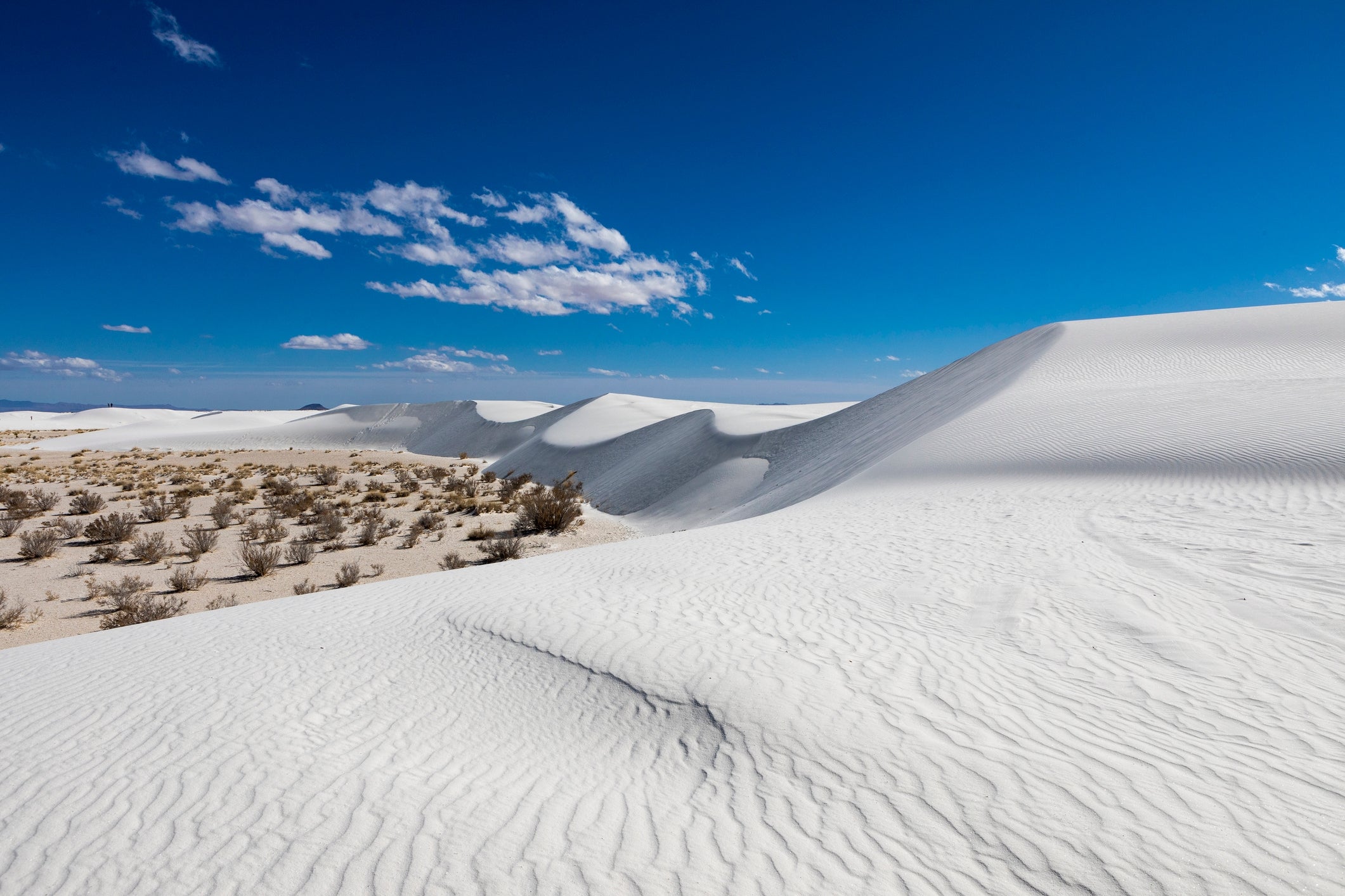 Sweeping achromatic  soil  dunes nether  a wide   sky, with sparse vegetation successful  the foreground