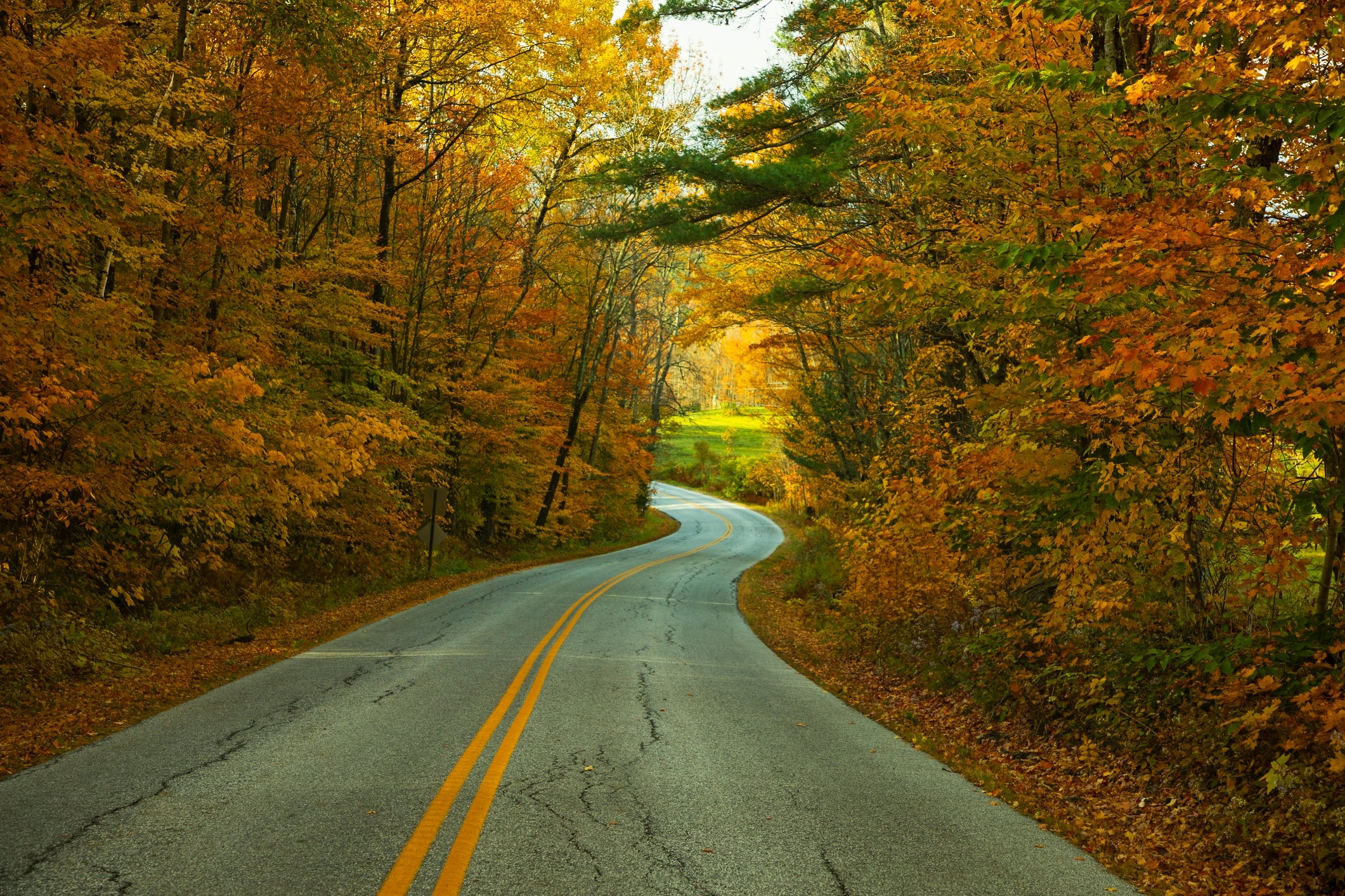 Winding roadworthy  done  a wood  with autumn foliage