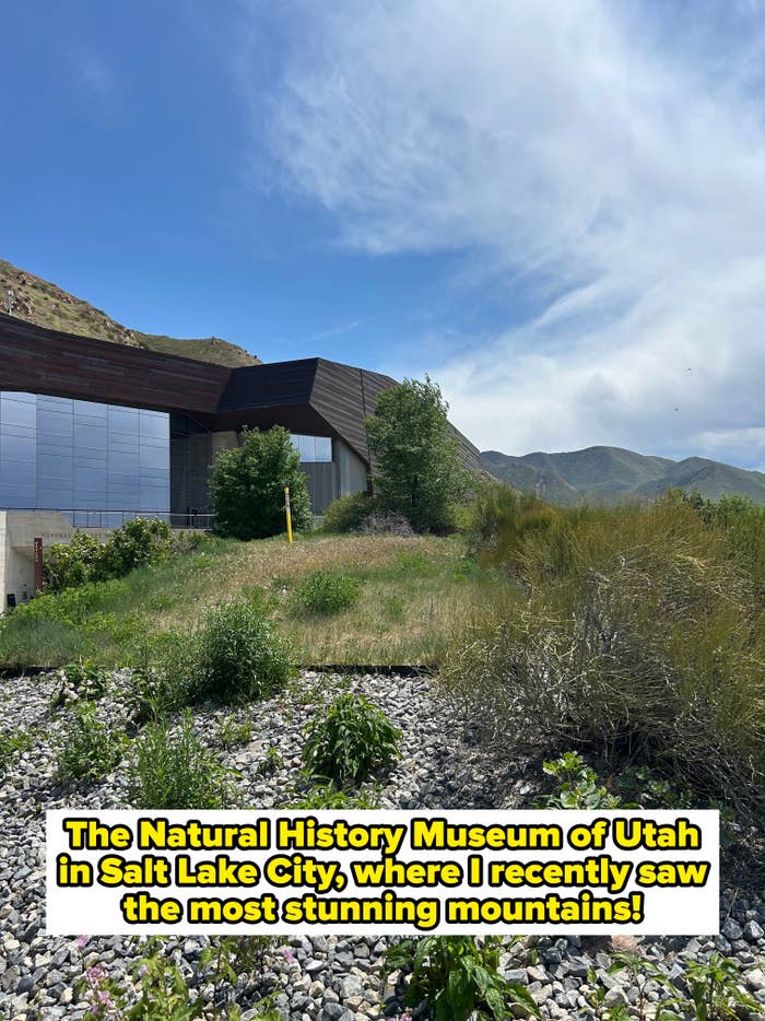  "the Natural History Museum of Utah successful  Salt Lake City, wherever  I precocious    saw the astir   stunning mountains"