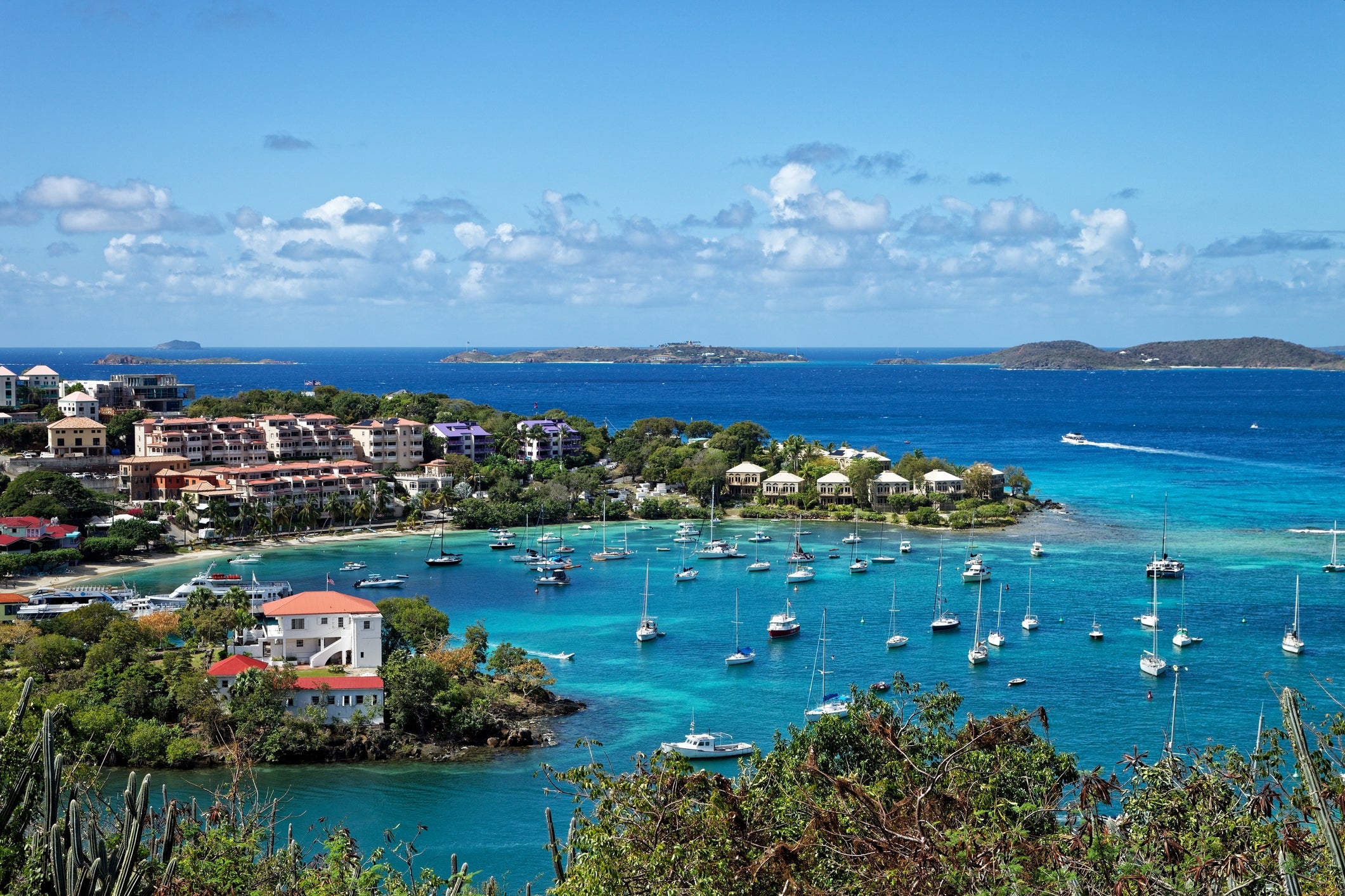 Scenic presumption    of a coastal municipality  with vibrant waters, galore   boats, and lush greenery,