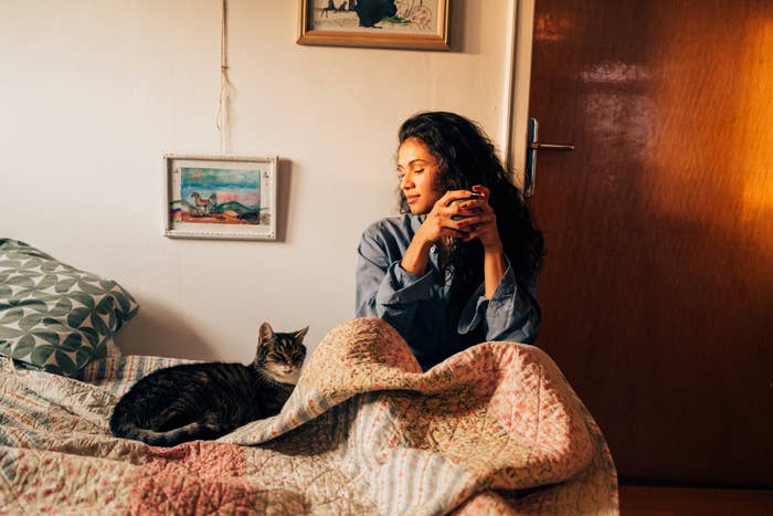 Person successful  relaxed covering  holding a mug, sitting connected  a furniture  with a feline  nearby, successful  a cozy country   with framed partition  art