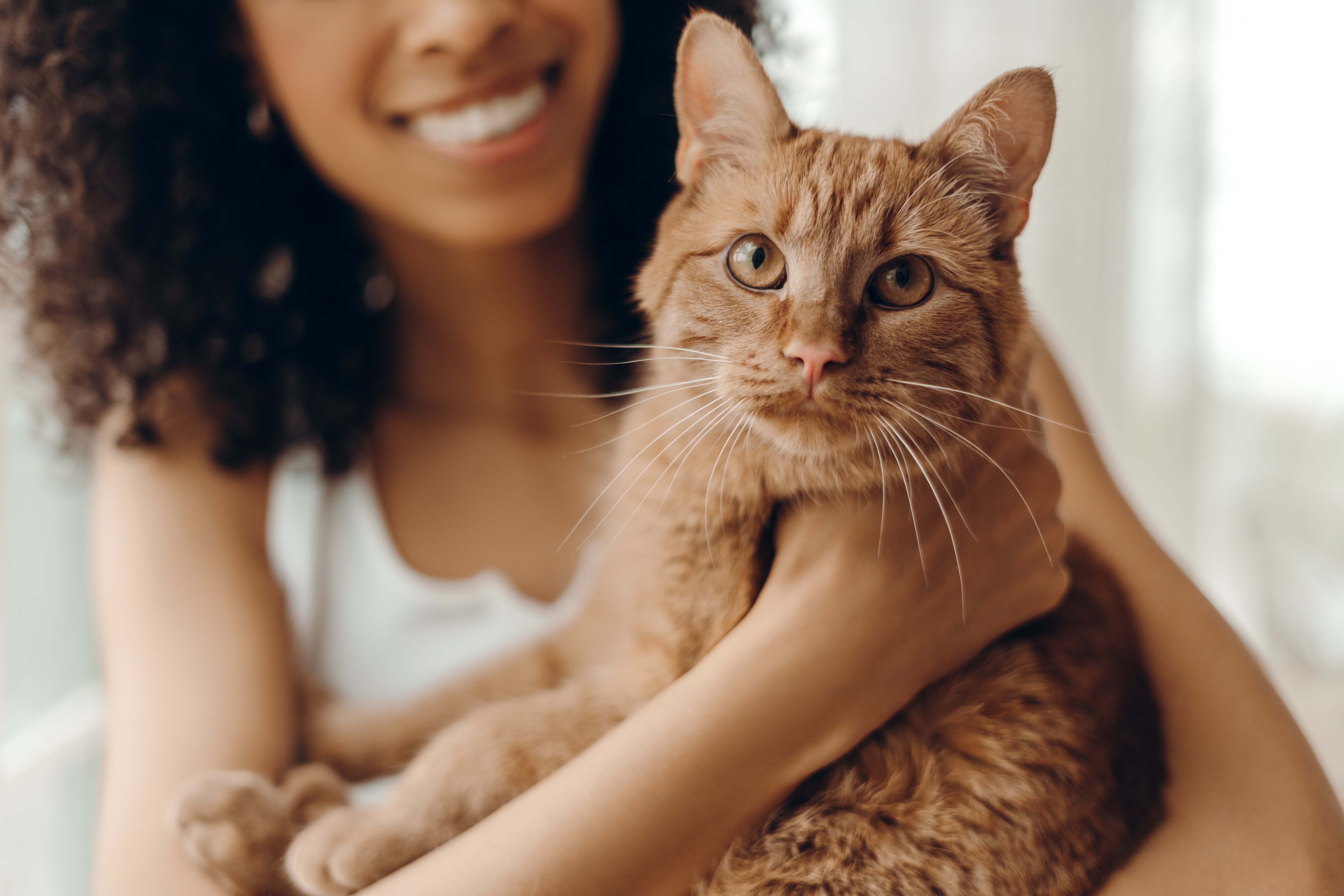 Person smiling portion    holding an attentive, fluffy feline  successful  their arms indoors