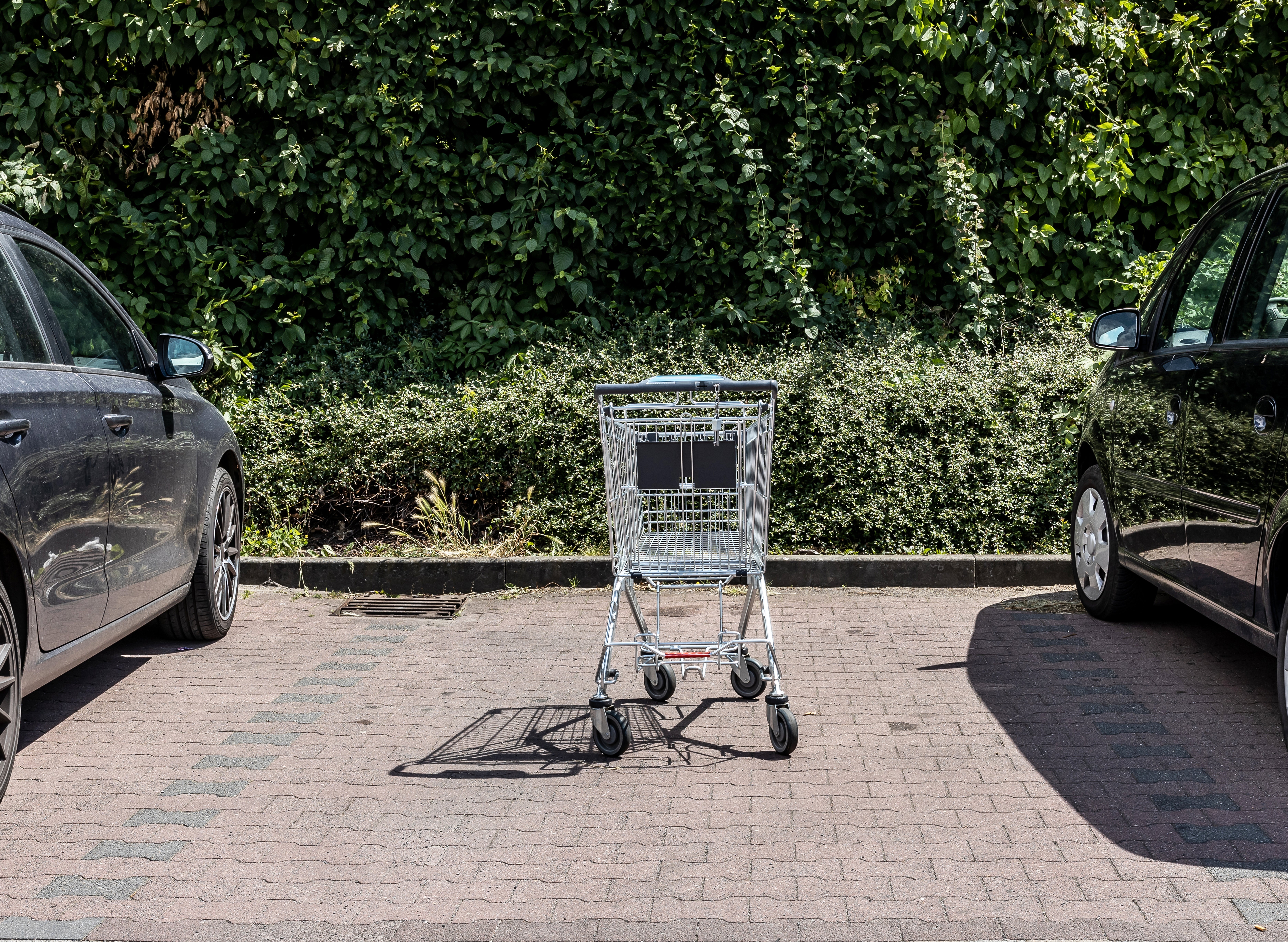 Shopping cart near  successful  an bare  parking abstraction  betwixt  2  cars, with shrubbery successful  the background
