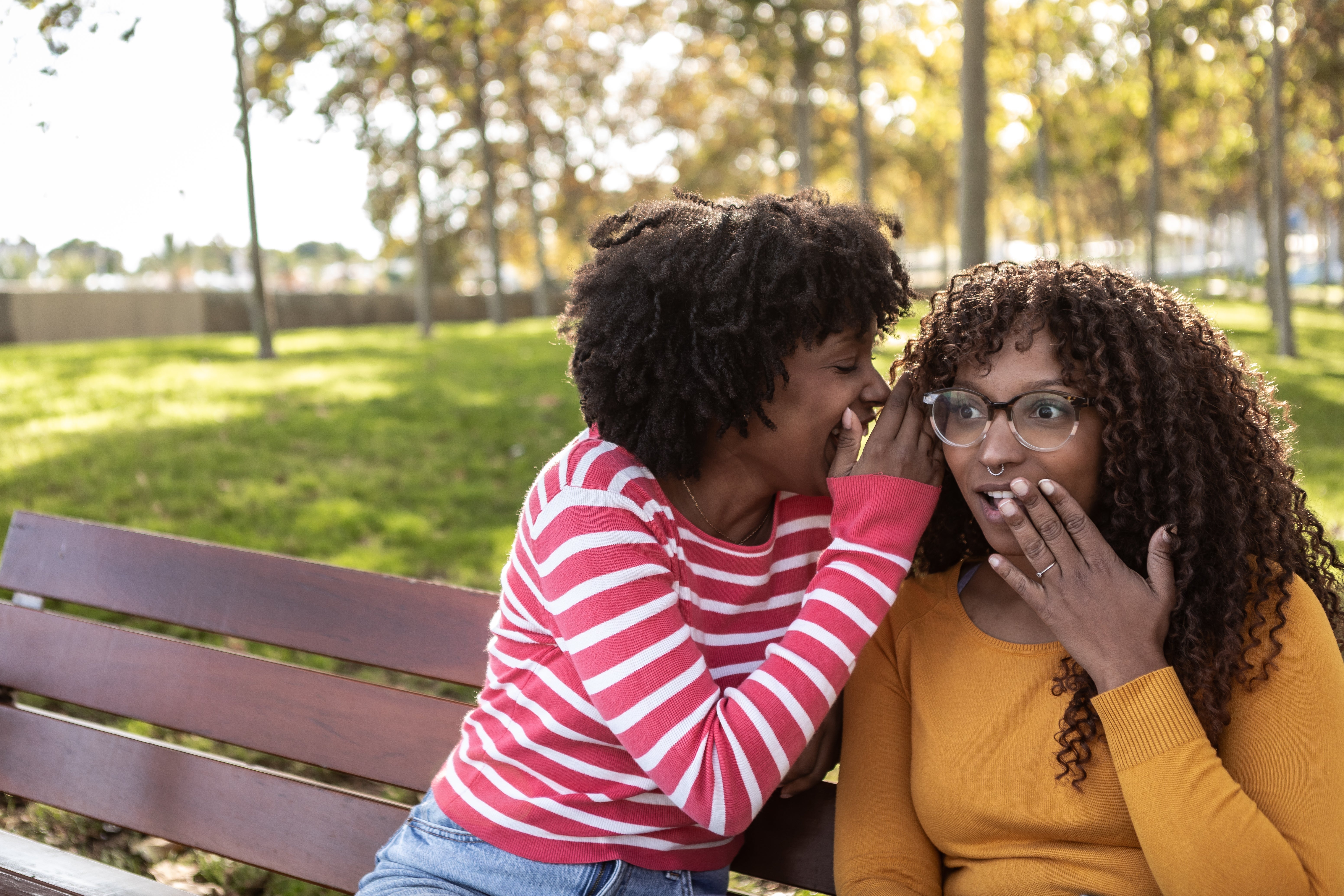 Two radical   sitting connected  a parkland  bench, 1  whispers a concealed  to the other, who seems surprised. Trees and writer  are successful  the background