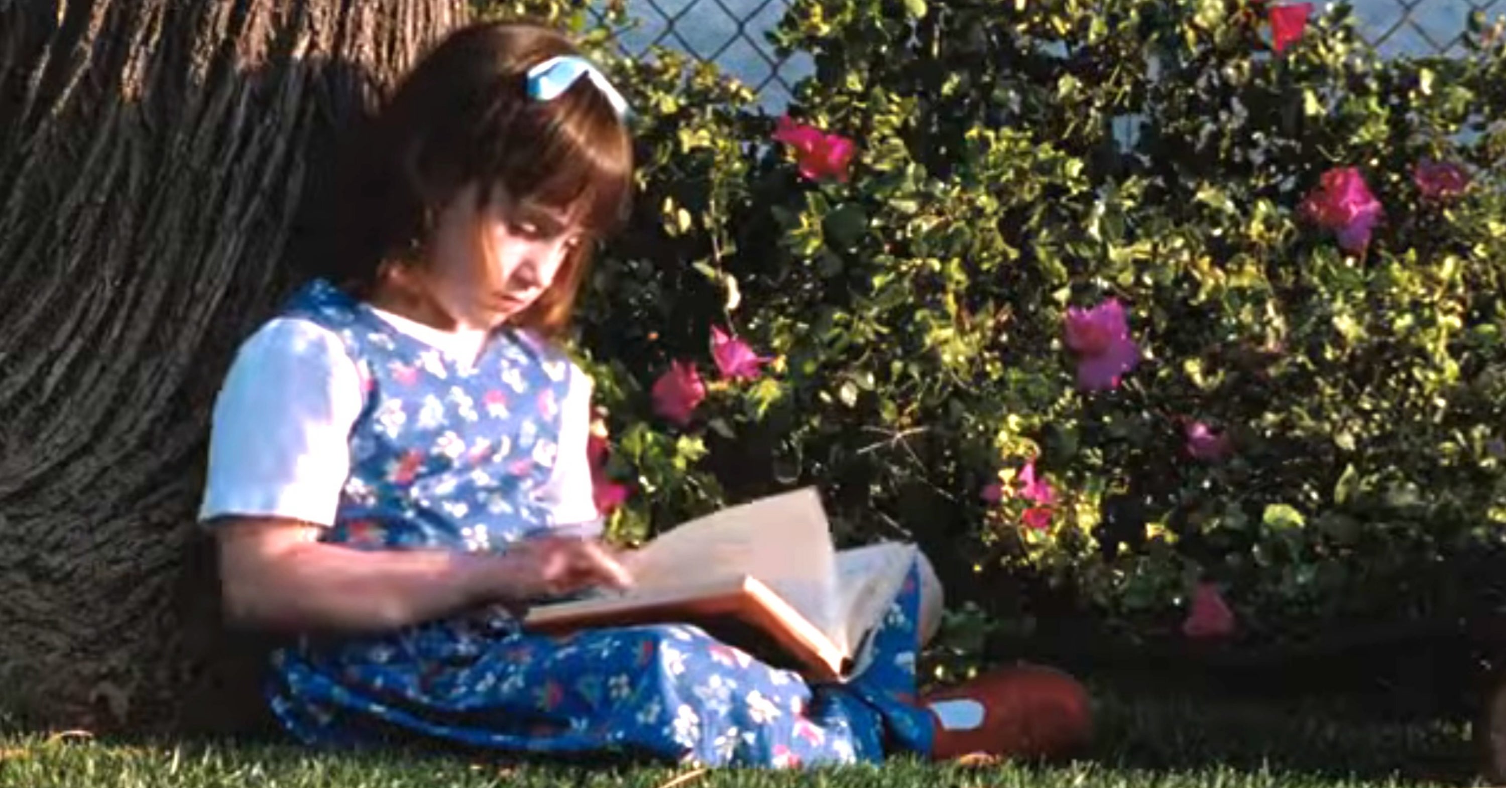 Parents, Tell Us Which Children's Books You Think Should Be Required Reading
