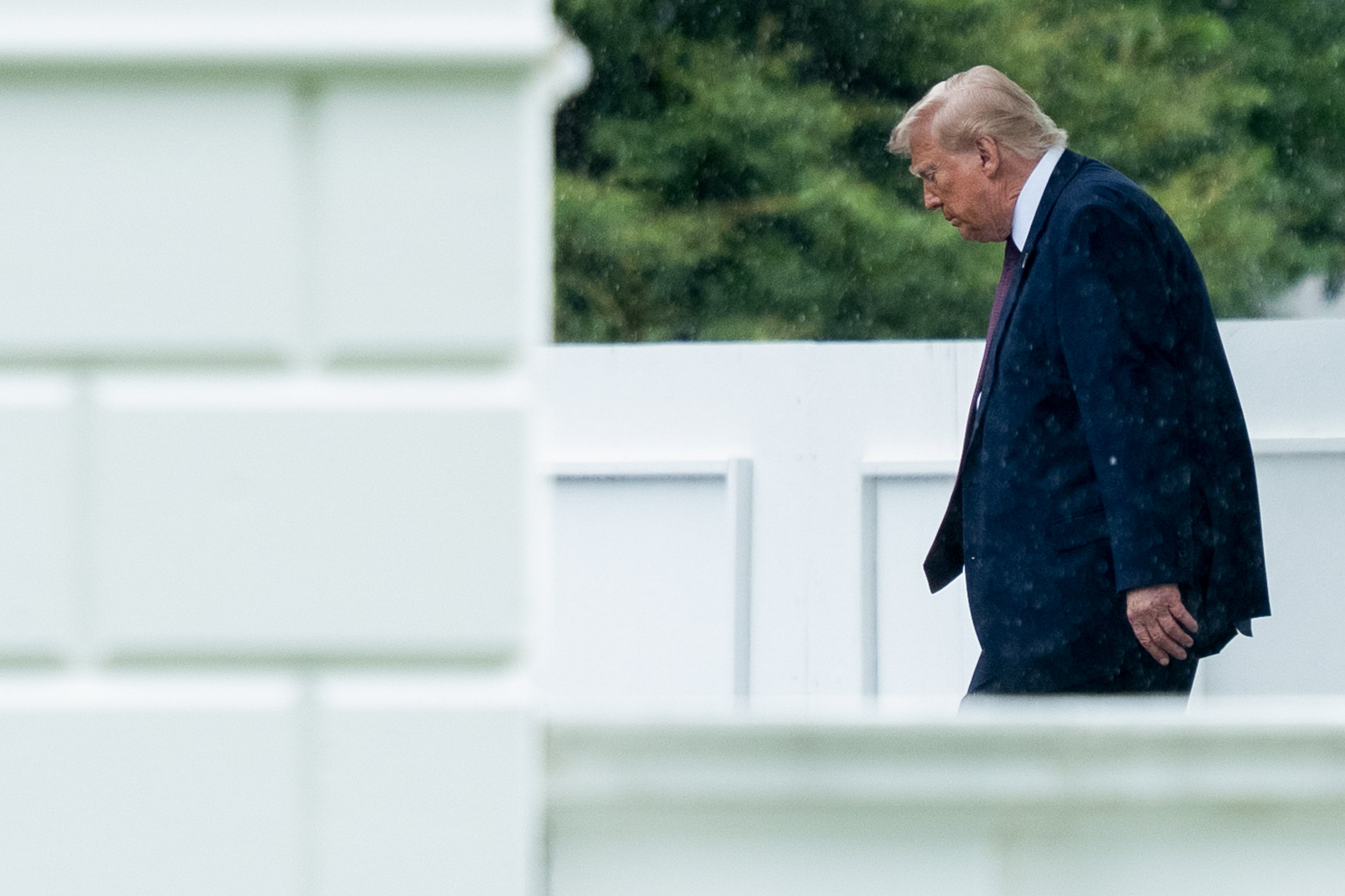 A idiosyncratic   successful  a suit   walks extracurricular  successful  profile, with a superior   expression, adjacent  to a achromatic  obstruction  and greenery successful  the background