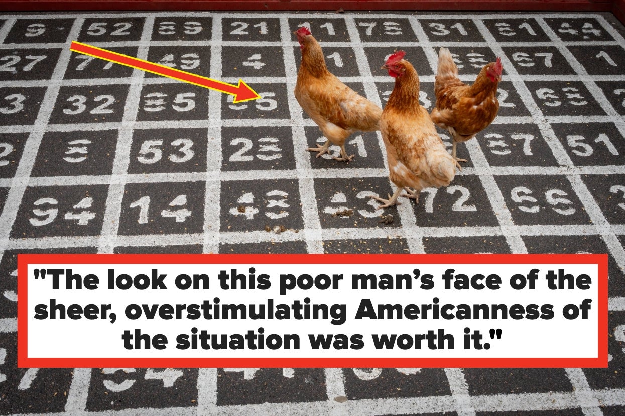 Chickens walk on a hopscotch grid. A caption below reads: "The look on this poor man's face of the sheer, overstimulating Americanness of the situation was worth it."