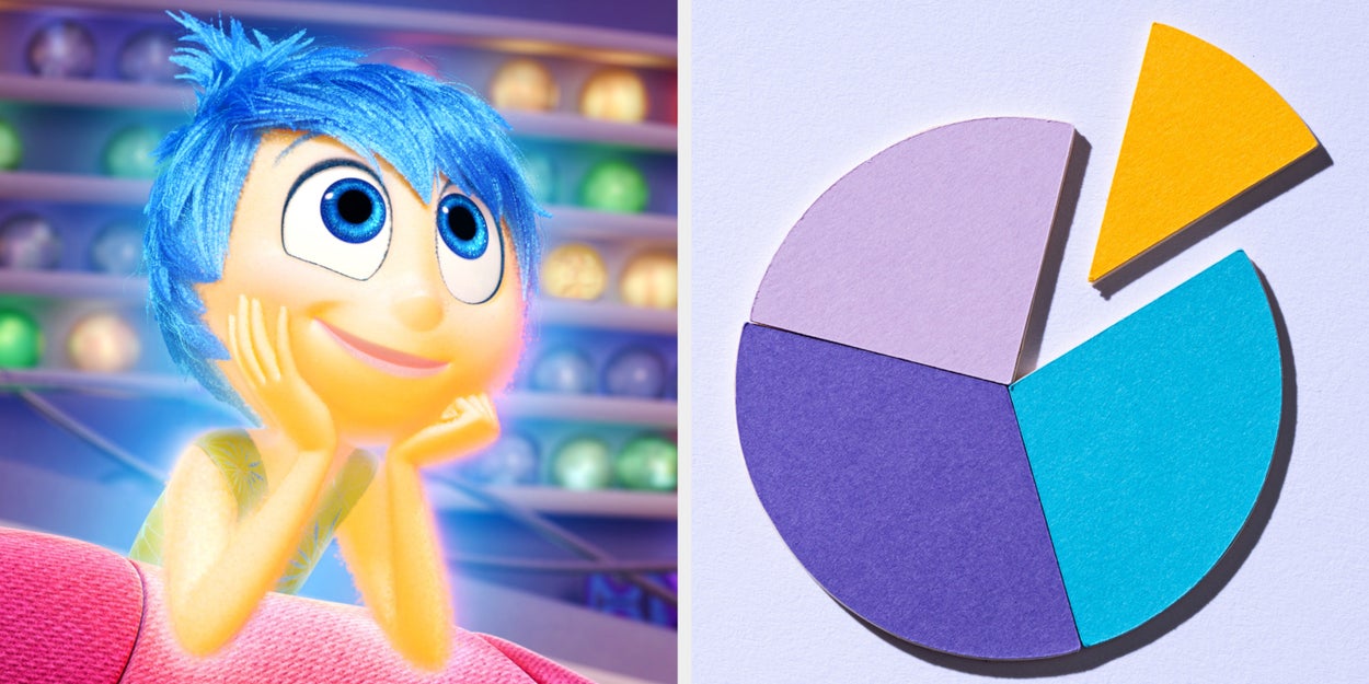 Answer 20 random questions and we'll create a brutally accurate pie chart of your entire personality
