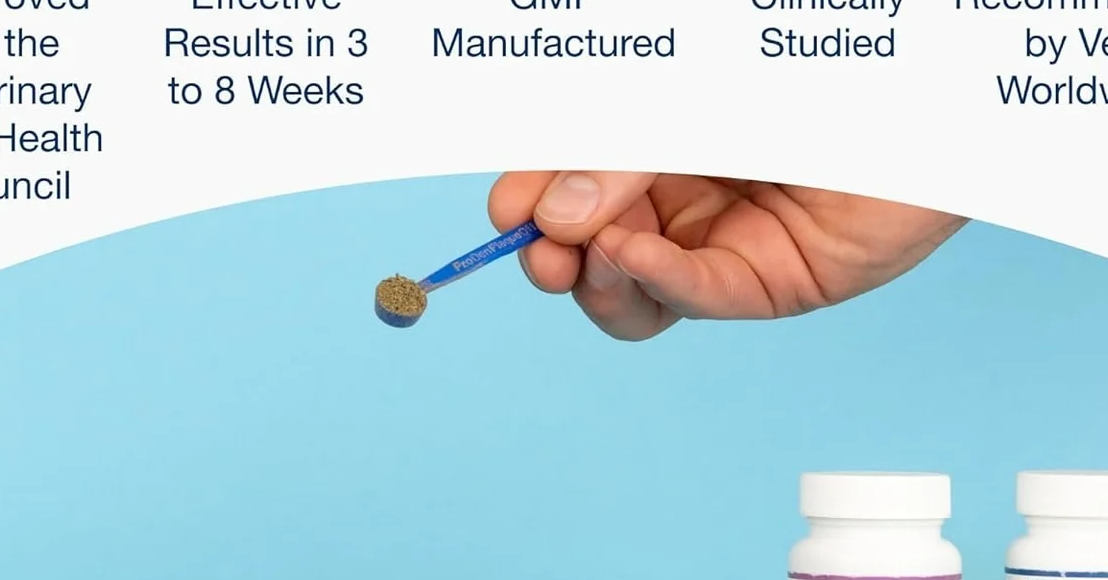 This Vet-Approved Powder Can Make Brushing Your Pet's Teeth Easier