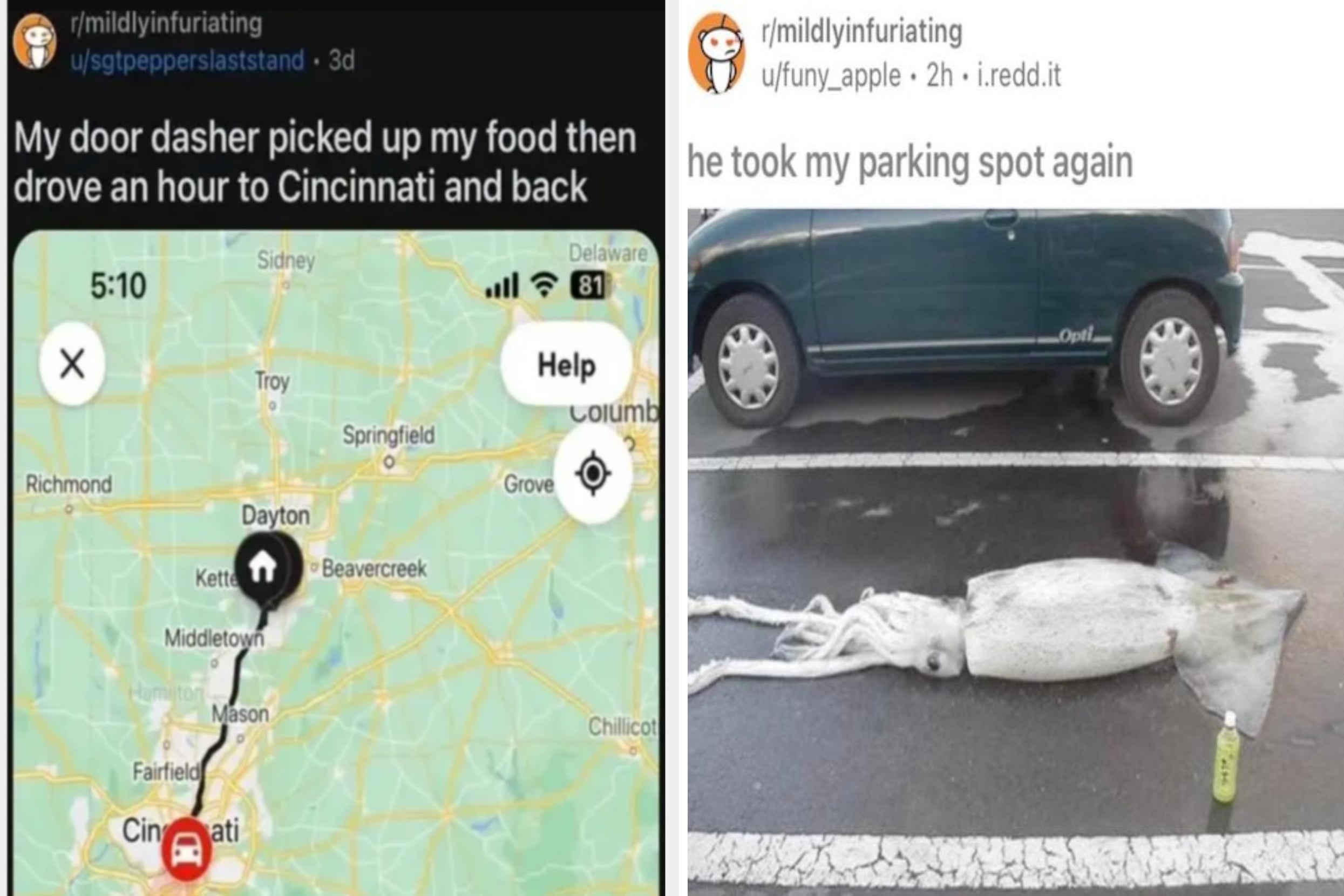 Split image: Left shows a map with a delivery route. Right shows a squid lying beside a car parked at a curb