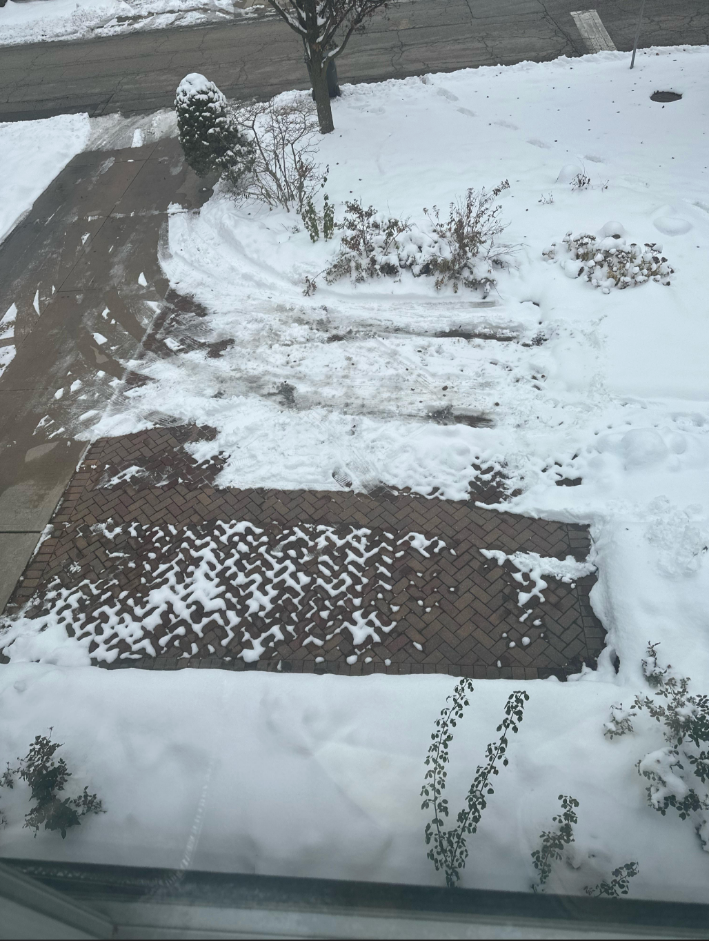 Snow-covered sidewalk and driveway with tire tracks visible, surrounded by winter scenery