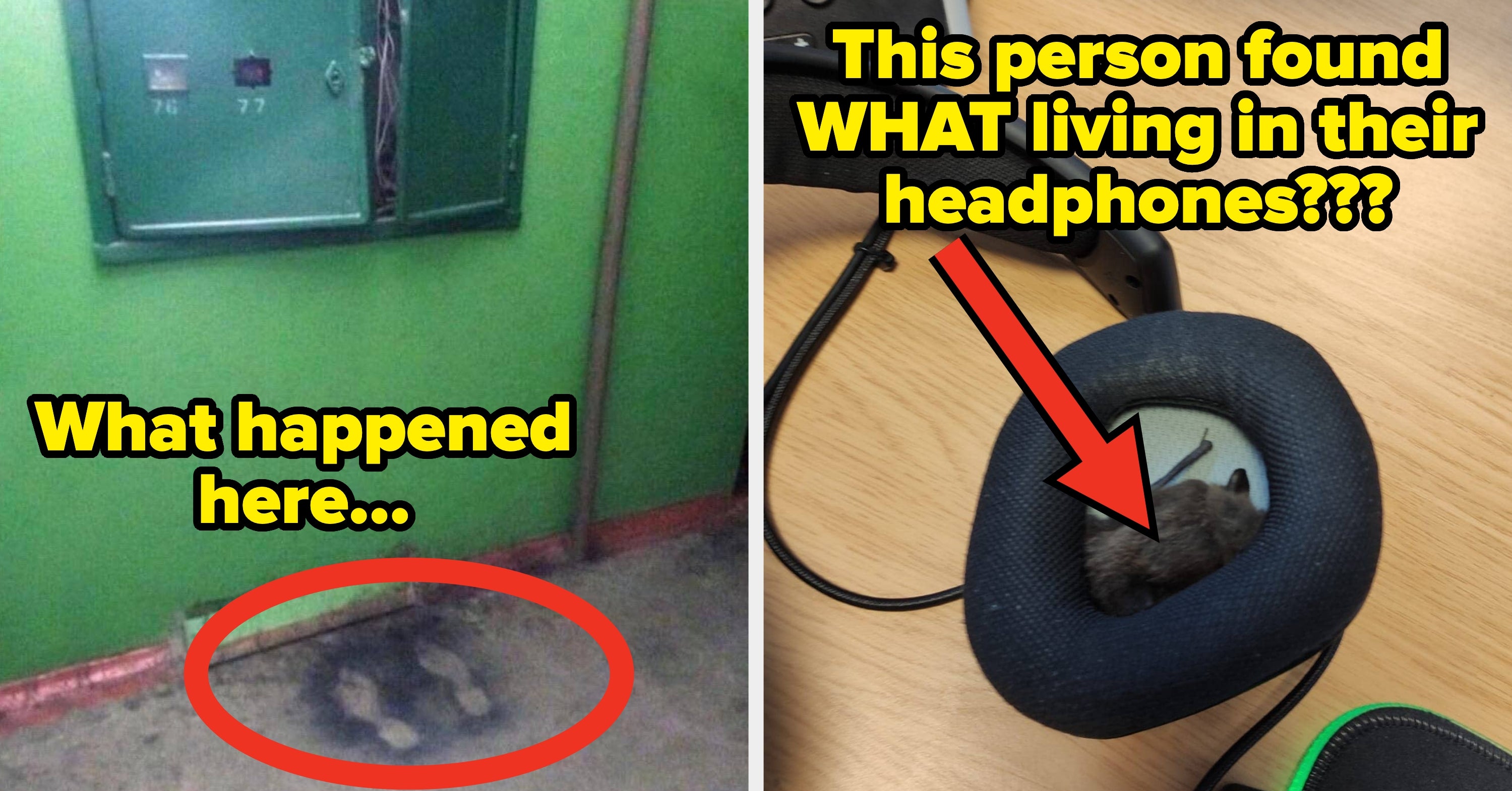 55 Cursed Images That Are So Creepy And Unsettling, I'm Genuinely Sorry For Showing You