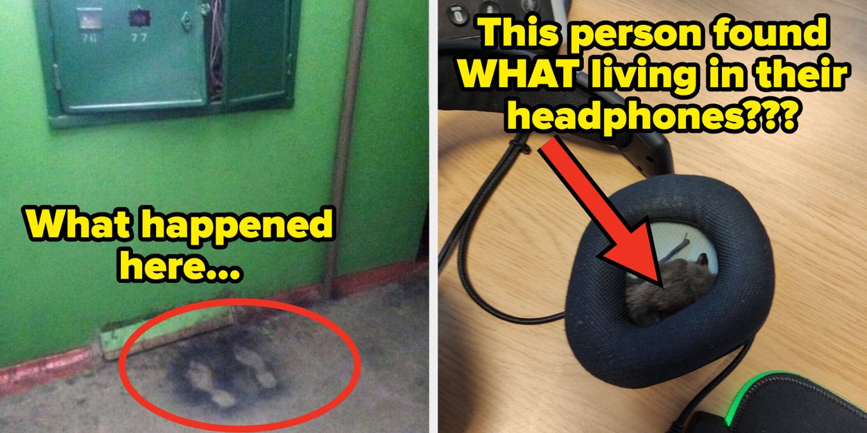 55 Of The Most Cursed Images On The Internet