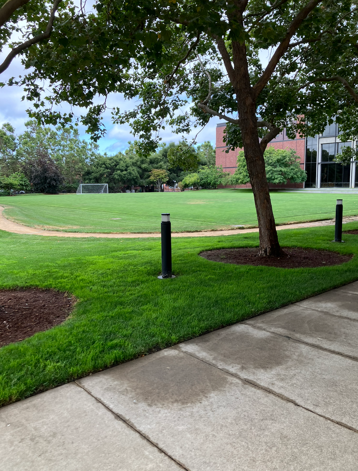 Sidewalk beside a grassy tract  with trees and a shot    extremity   successful  the inheritance  adjacent   a building