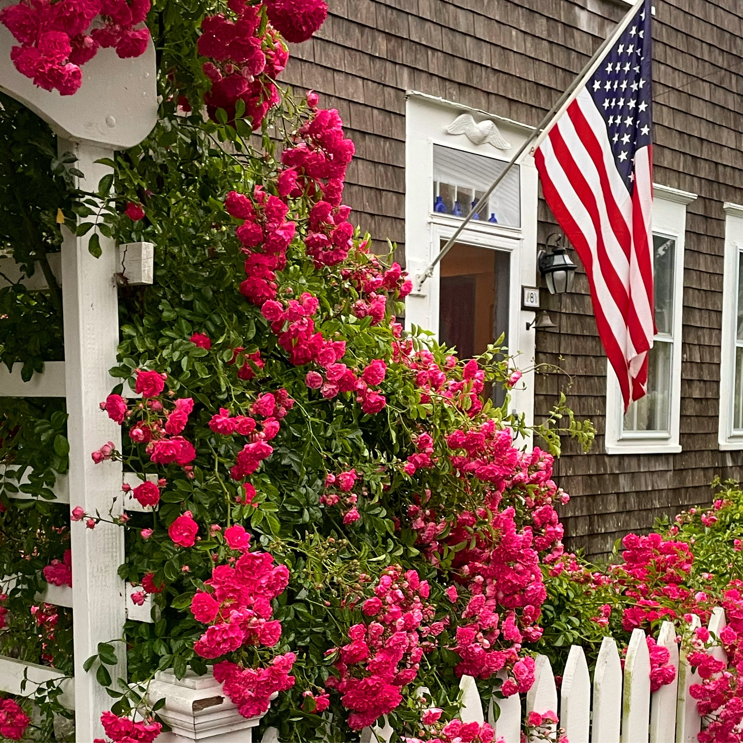Climbing roses screen a quaint woody location with a achromatic picket fence, and a U.S. emblem is displayed beside the entrance