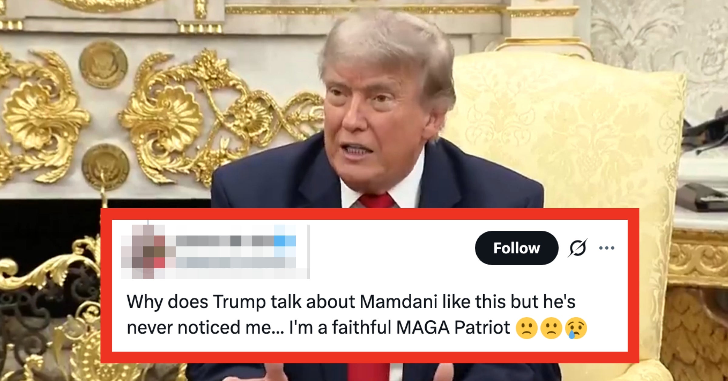 Everyone — Including MAGA — Has A LOT To Say After Trump Called Mamdani "Charming" And "Good-Looking"