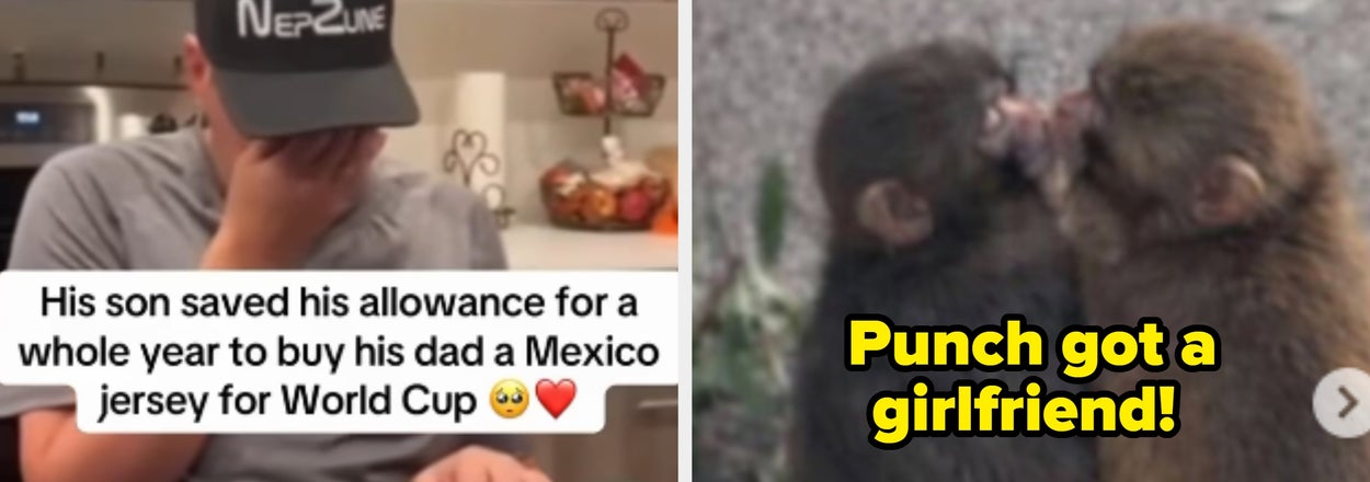 36 Moments From 2026 That Were So Wholesome And Heartwarming, I'm Still Smiling About Them