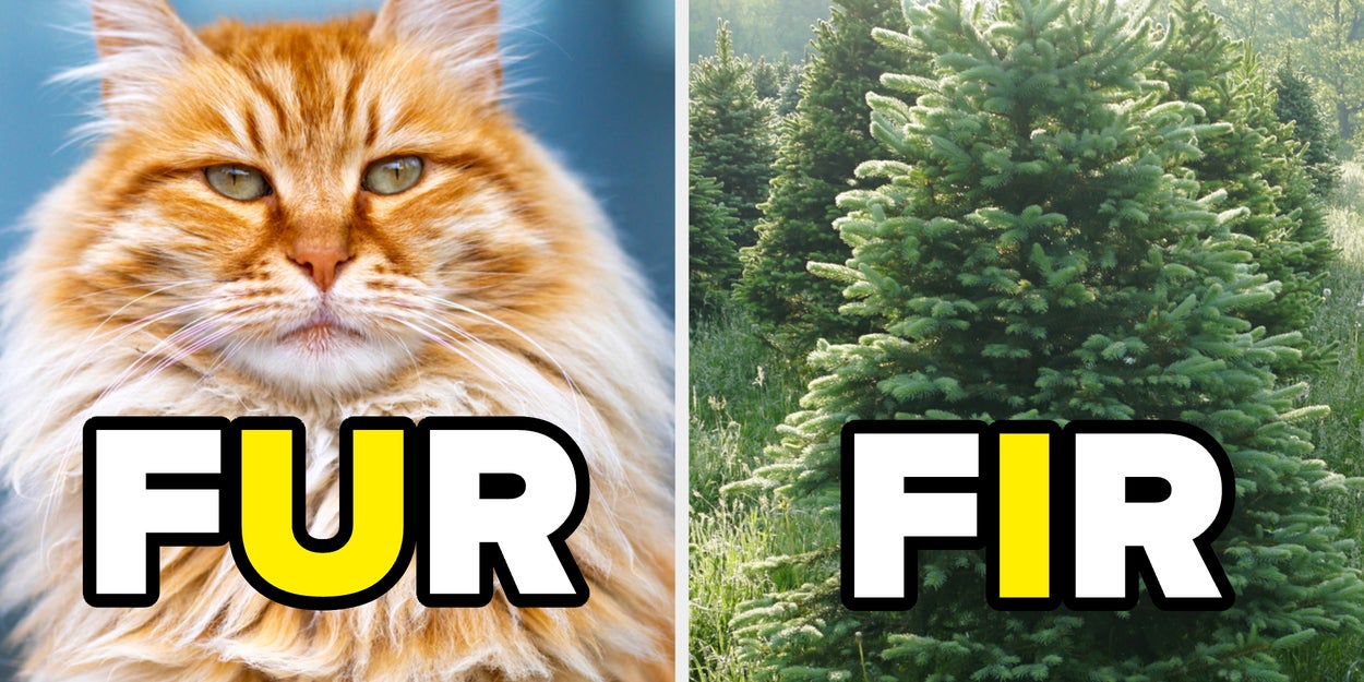 Test Your Grammar With This Homophone Quiz