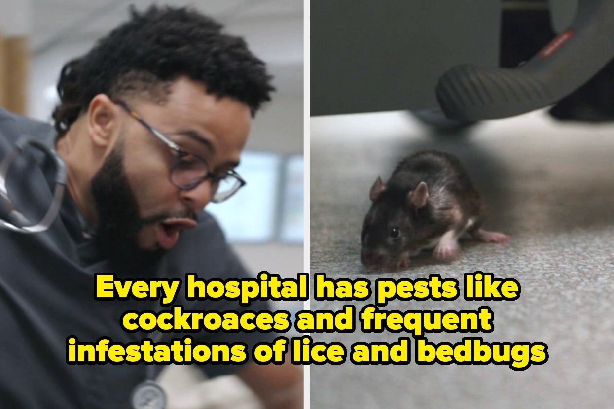 shocked nurse and rat captioned "Every hospital has pests like cockroaces and frequent infestations of lice and bedbugs"