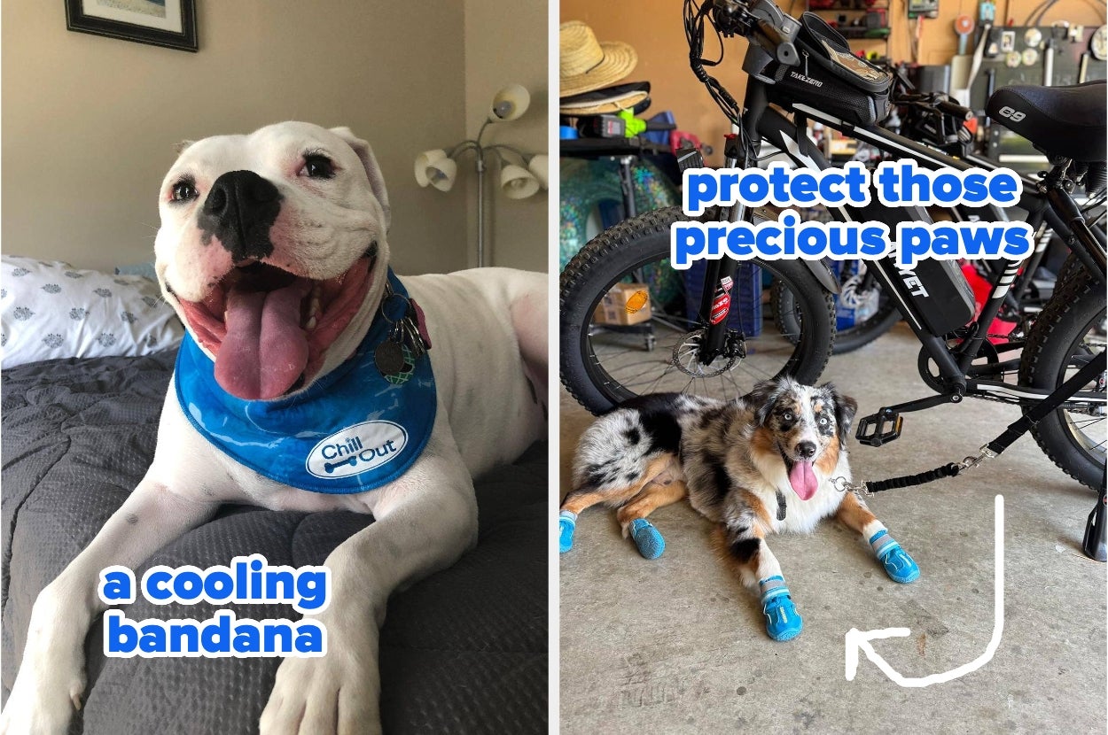 Two dogs: one wearing a cooling bandana on a bed, another with paw protectors lying by a bike in a garage