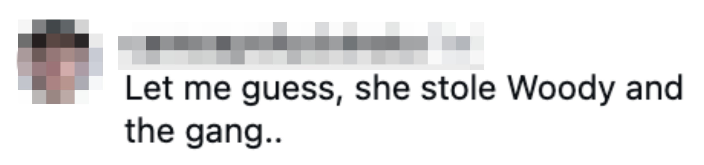 A comment reading: "Let me guess, she stole Woody and the gang.."