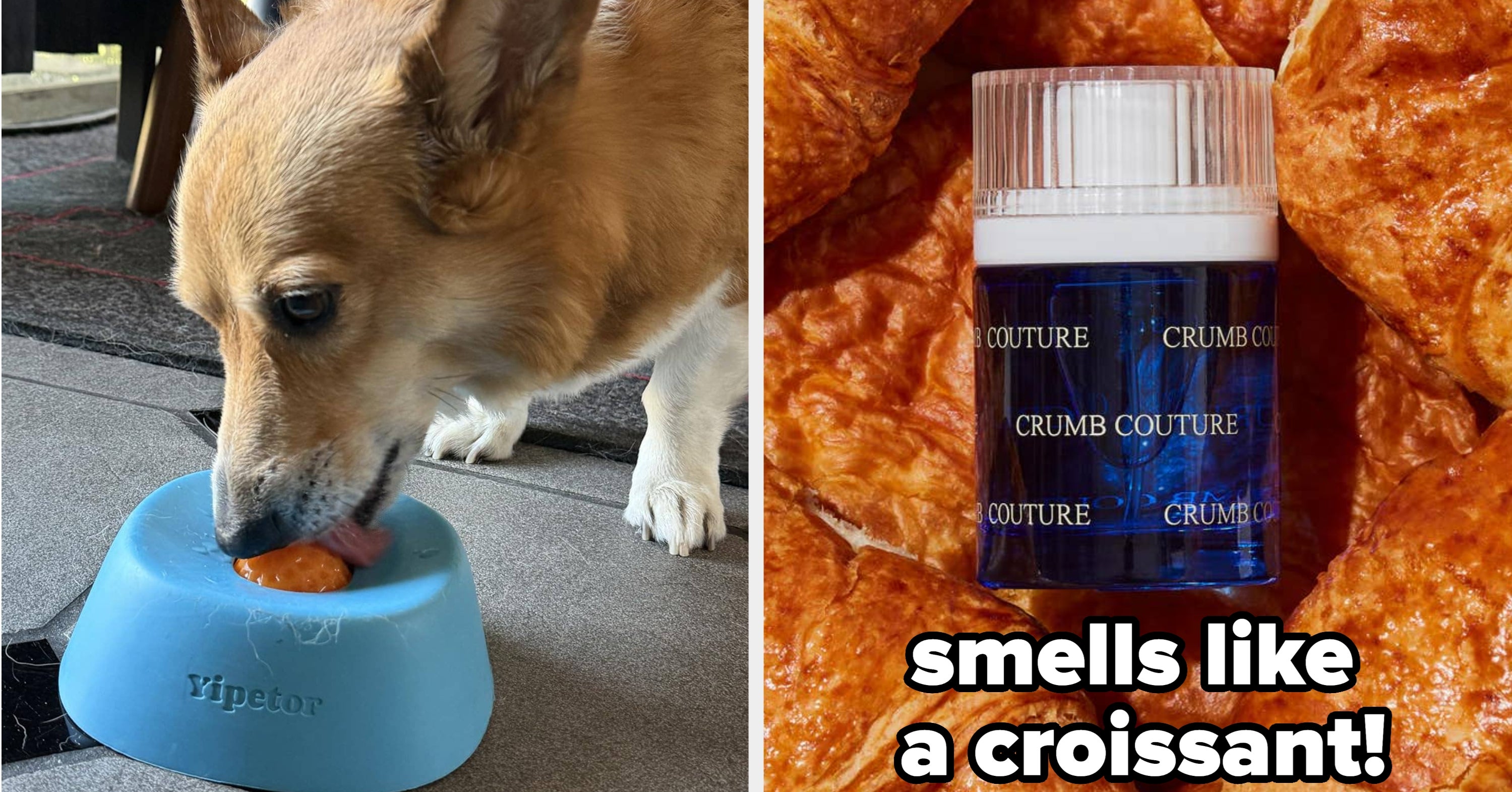 27 Things I Found On TikTok That Are Actually Really Cool