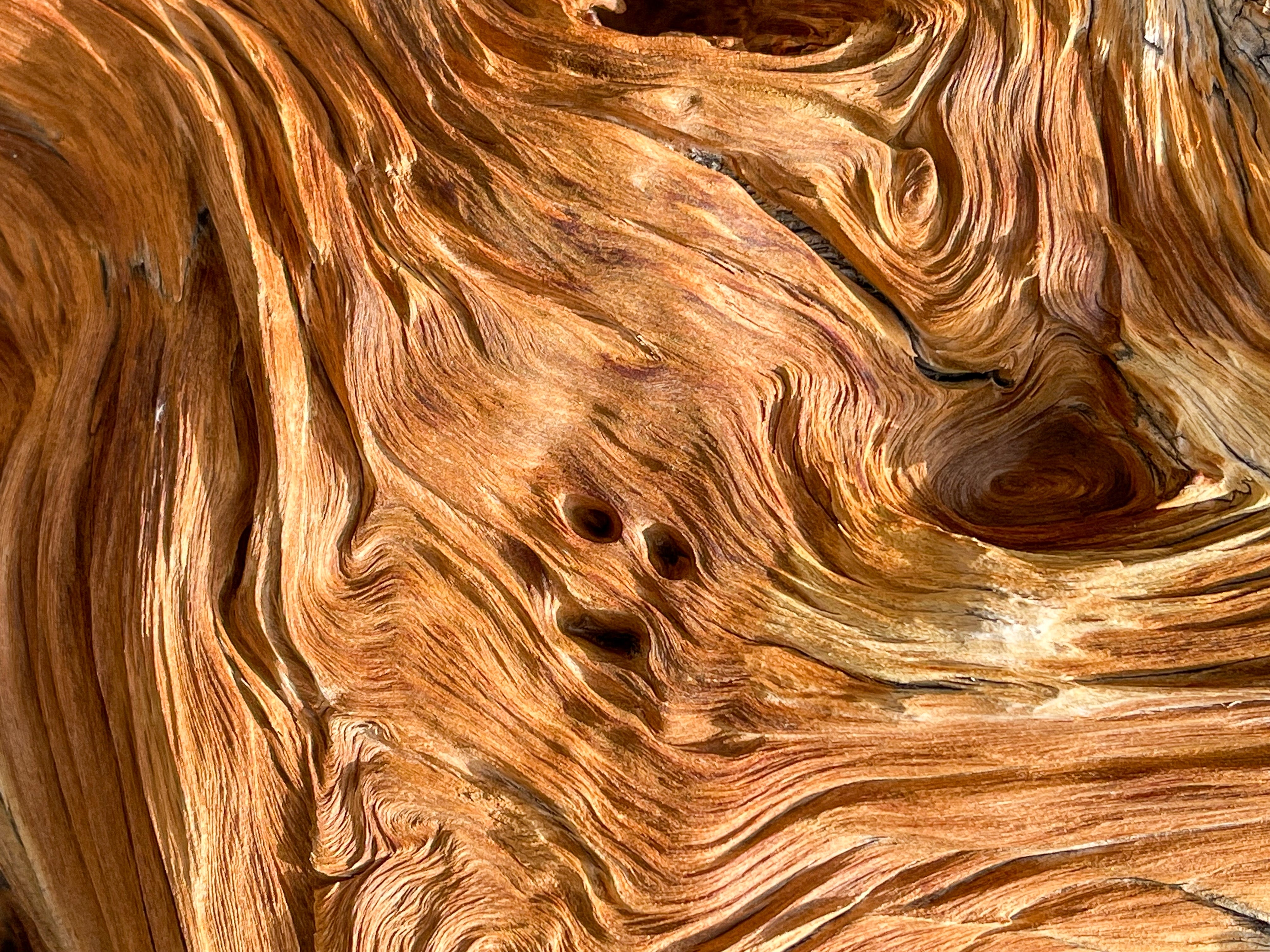 Close-up of intricately textured wood grain, resembling earthy patterns and swirls