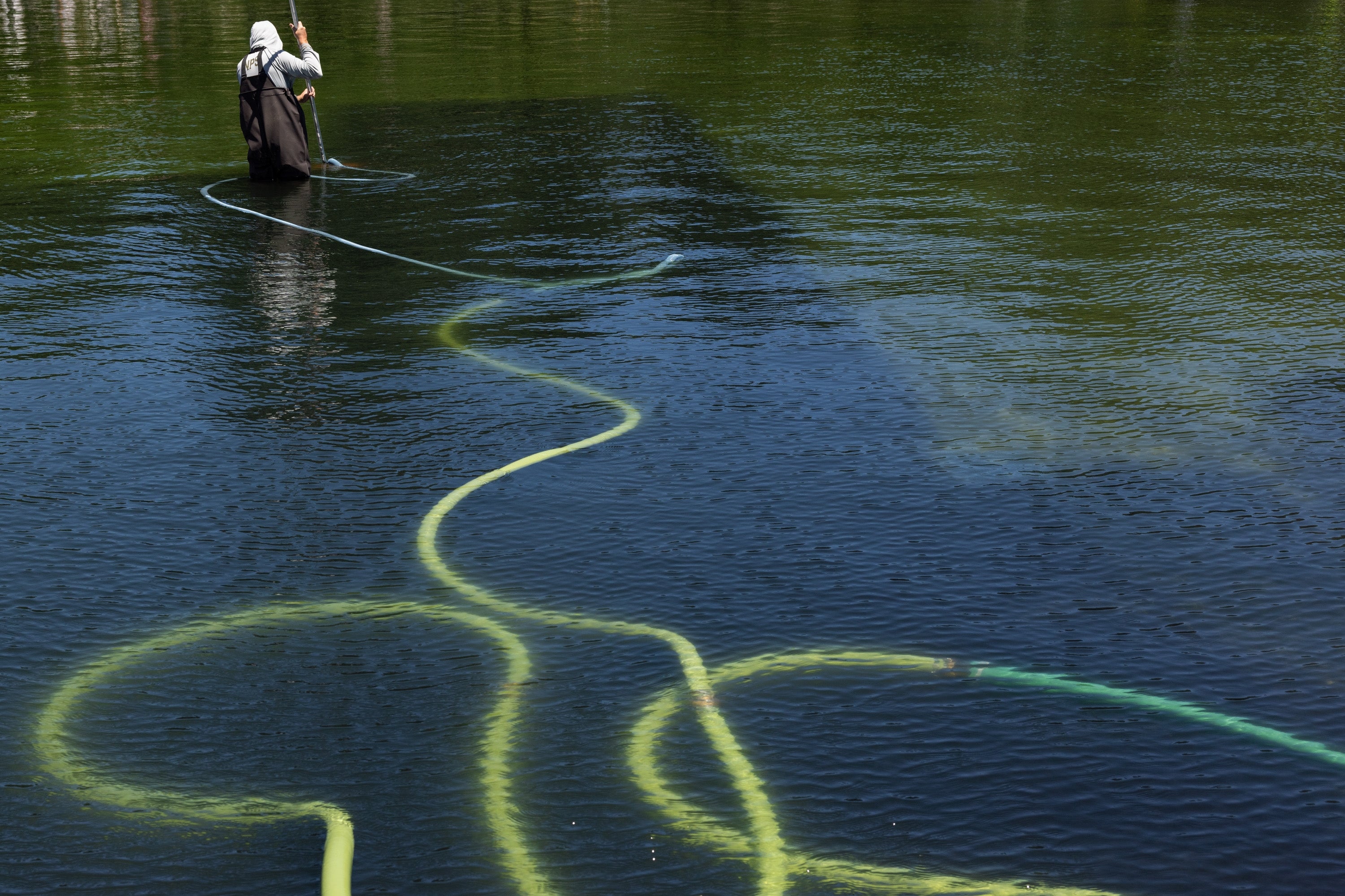 Person successful  waders maneuvers with agelong  hoses connected  a assemblage  of water, perchance  managing aquatic vegetation oregon  conducting research