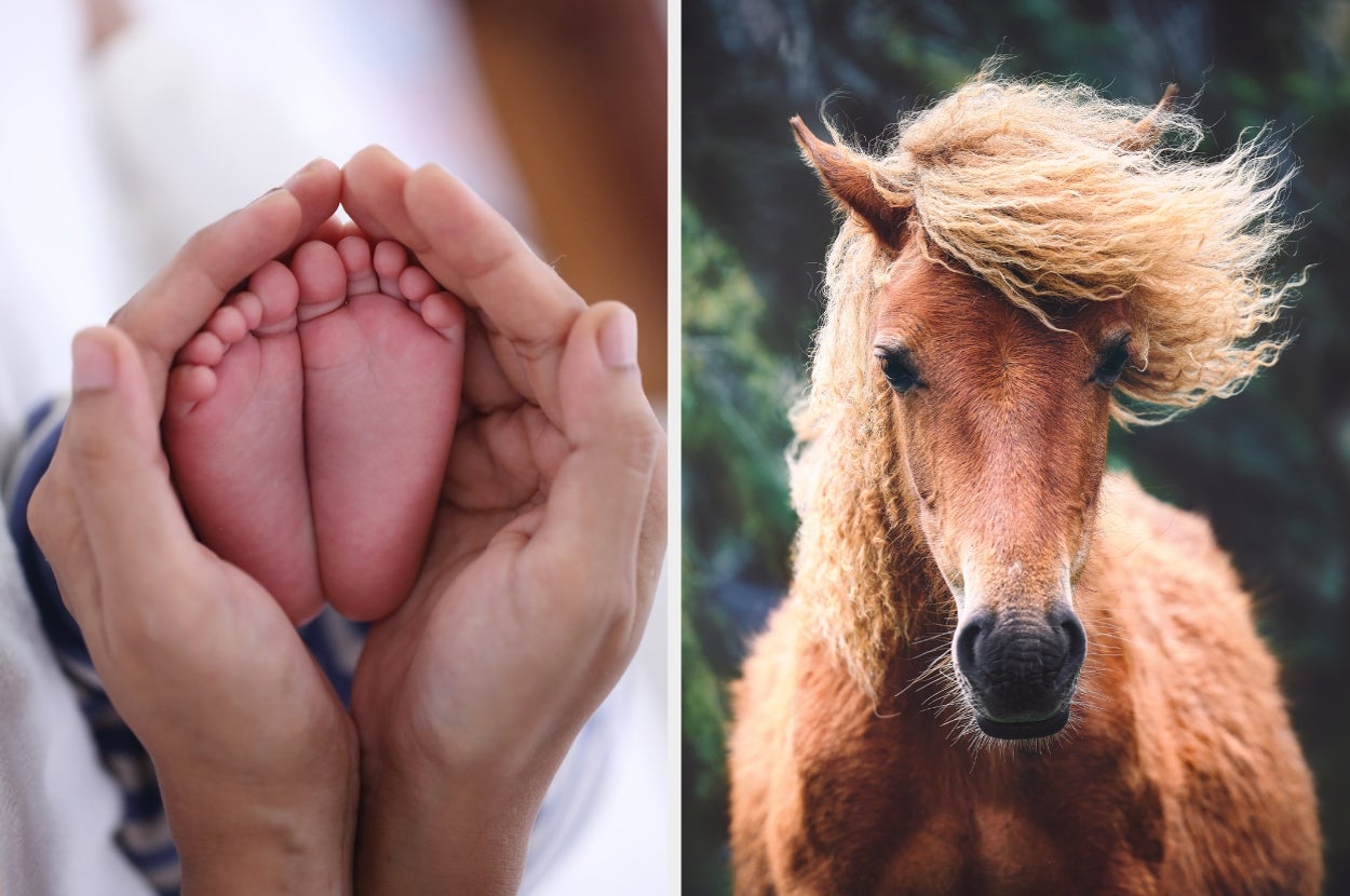 A pair of adult hands gently cradle a baby's feet, next to a portrait of a horse with a windswept mane
