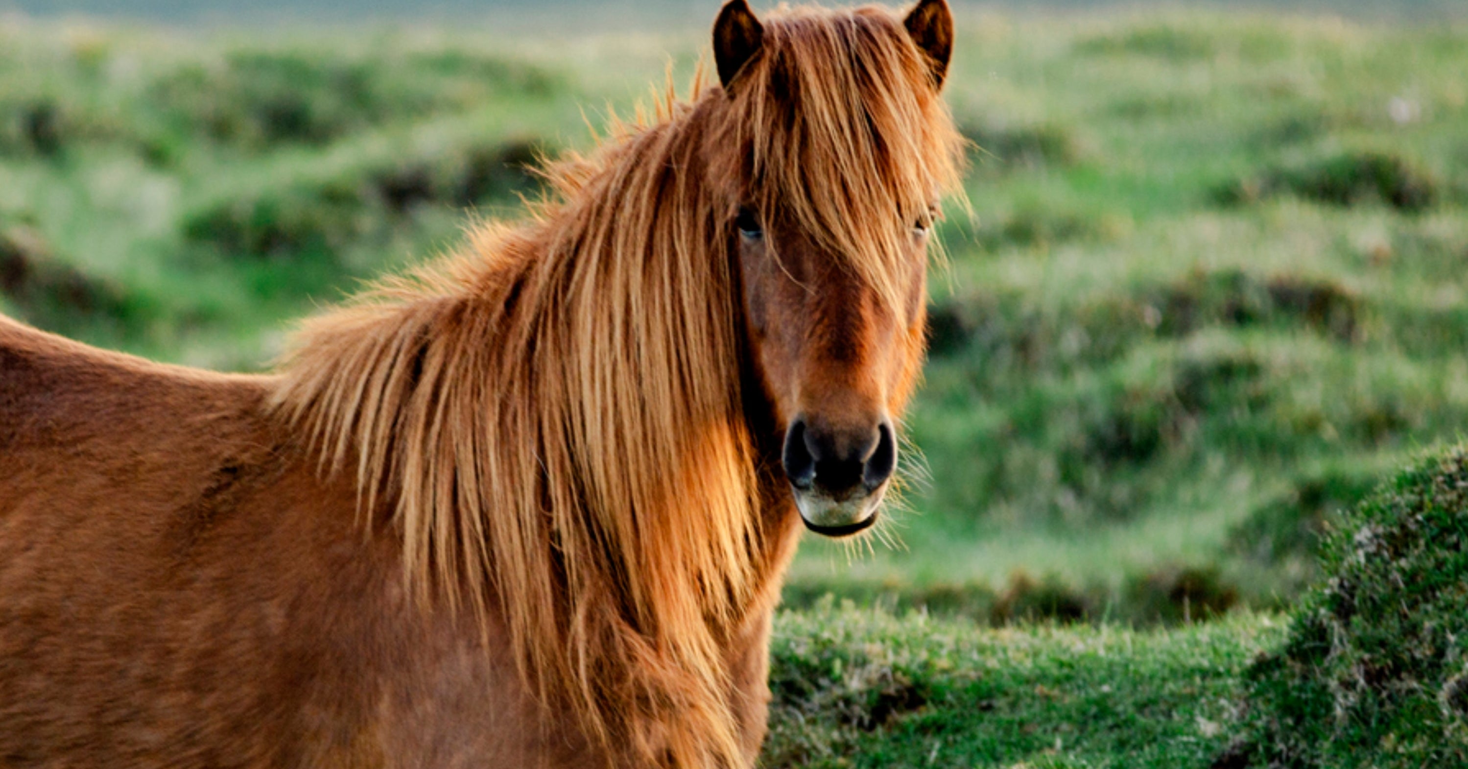 I'm Usuuuuually Right, So Pick Some Baby Names And I'll Reveal Which Animal You Totally Embody