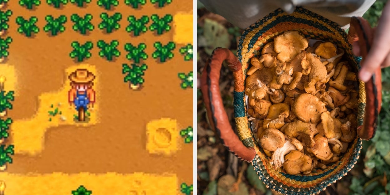Build Your Perfect Farm And We'll Reveal Your "Stardew Valley" Personality
