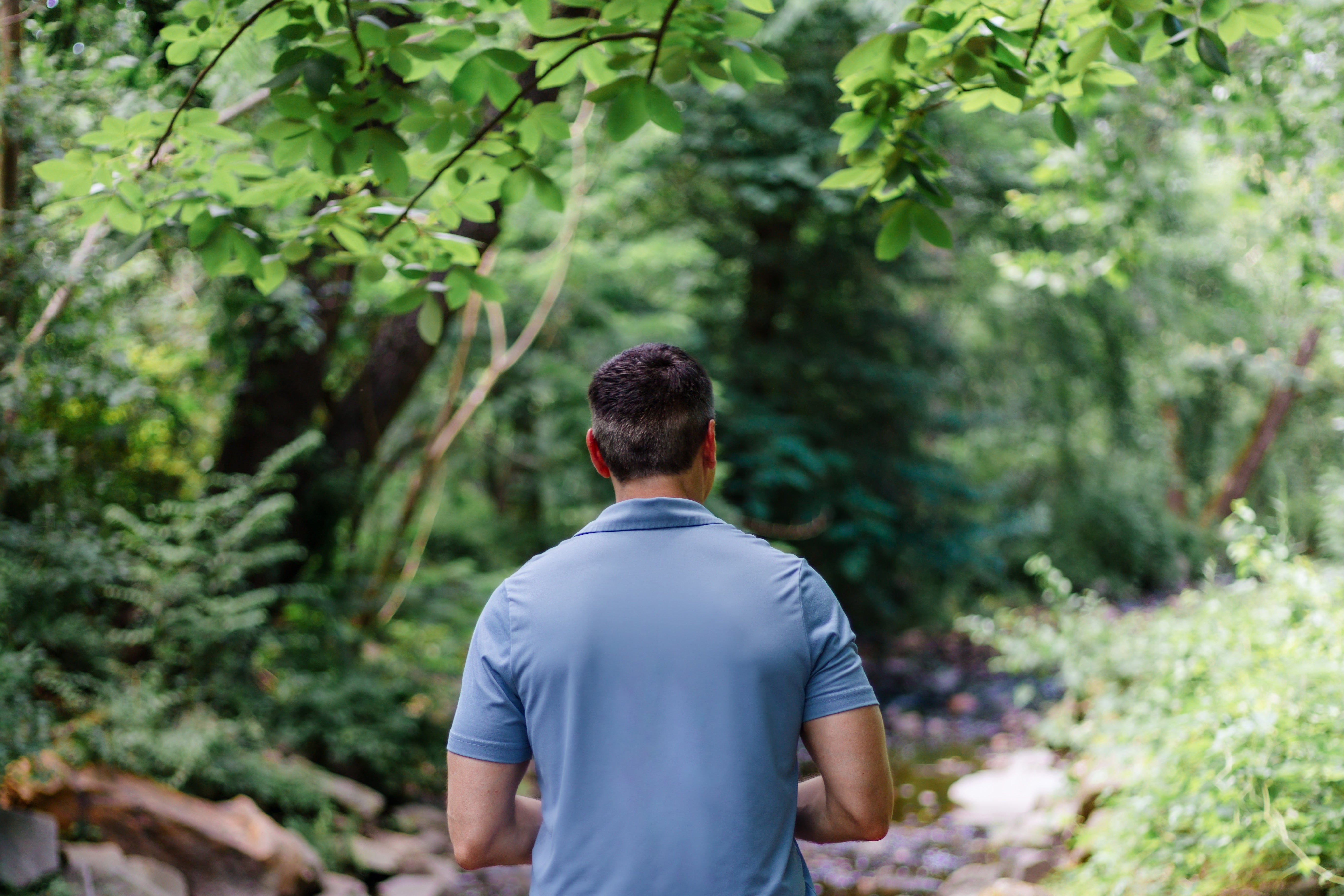 A idiosyncratic stands successful a lush, greenish forest, facing away. They look to beryllium walking on a tranquil path