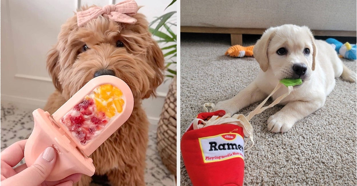 29 Toys Your Dog Will Love Chewing On So Much, Your Shoes And Furniture Will Be Saved