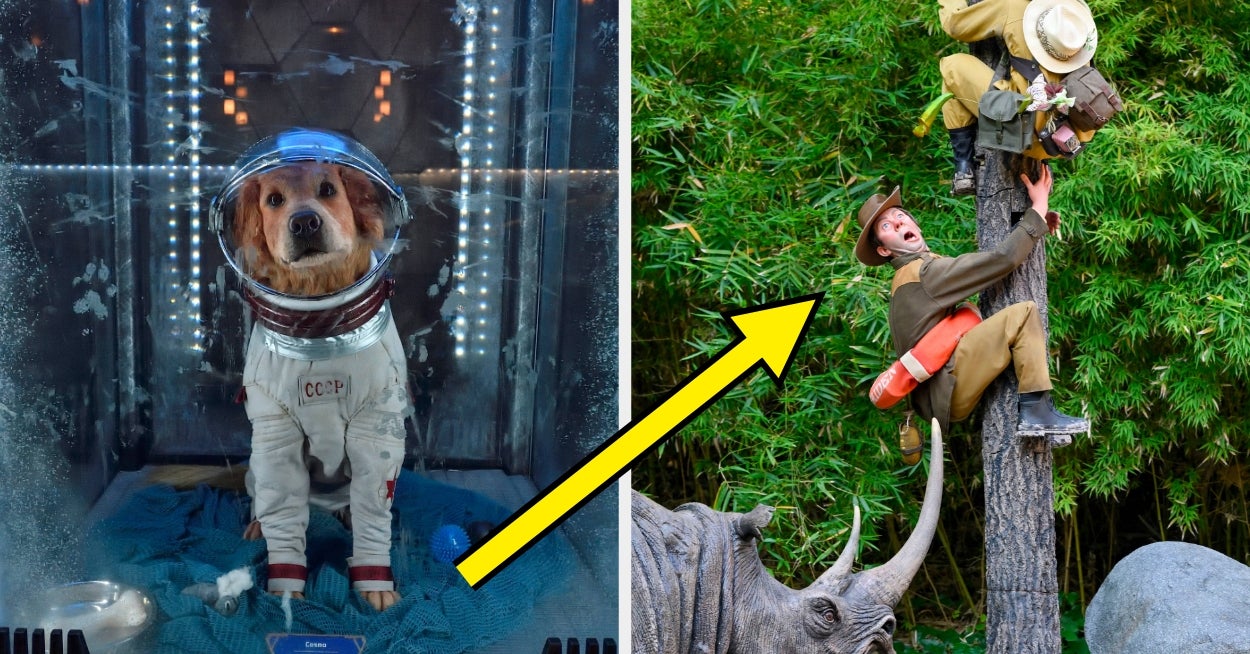 I'm Sorry, But If You Can't Match At Least 8 Of These Disney Rides To Their Descriptions, You're Not Actually A Disney Fan