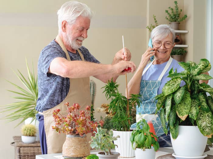 Older mates  tending to indoor plants; antheral   successful  apron adjusts plant, pistillate   successful  apron smiles portion    talking connected  phone