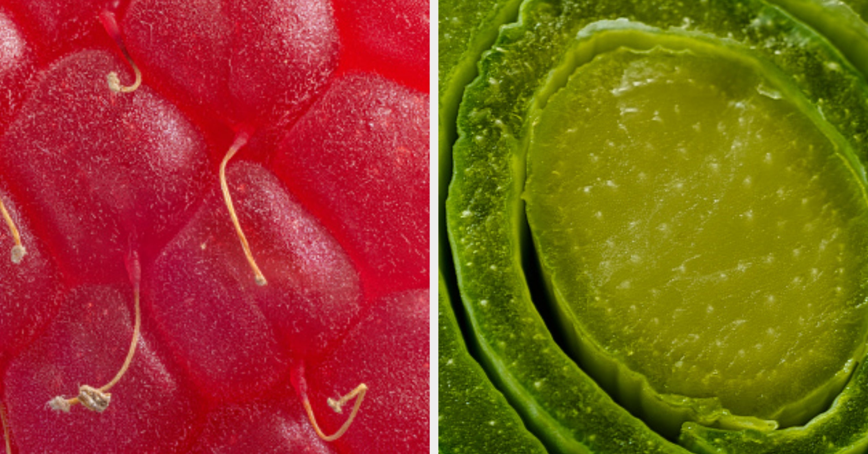 Can You Identify The Zoomed-In Fruits And Veggies (Or Do You Need An Eye Doctor Visit)?