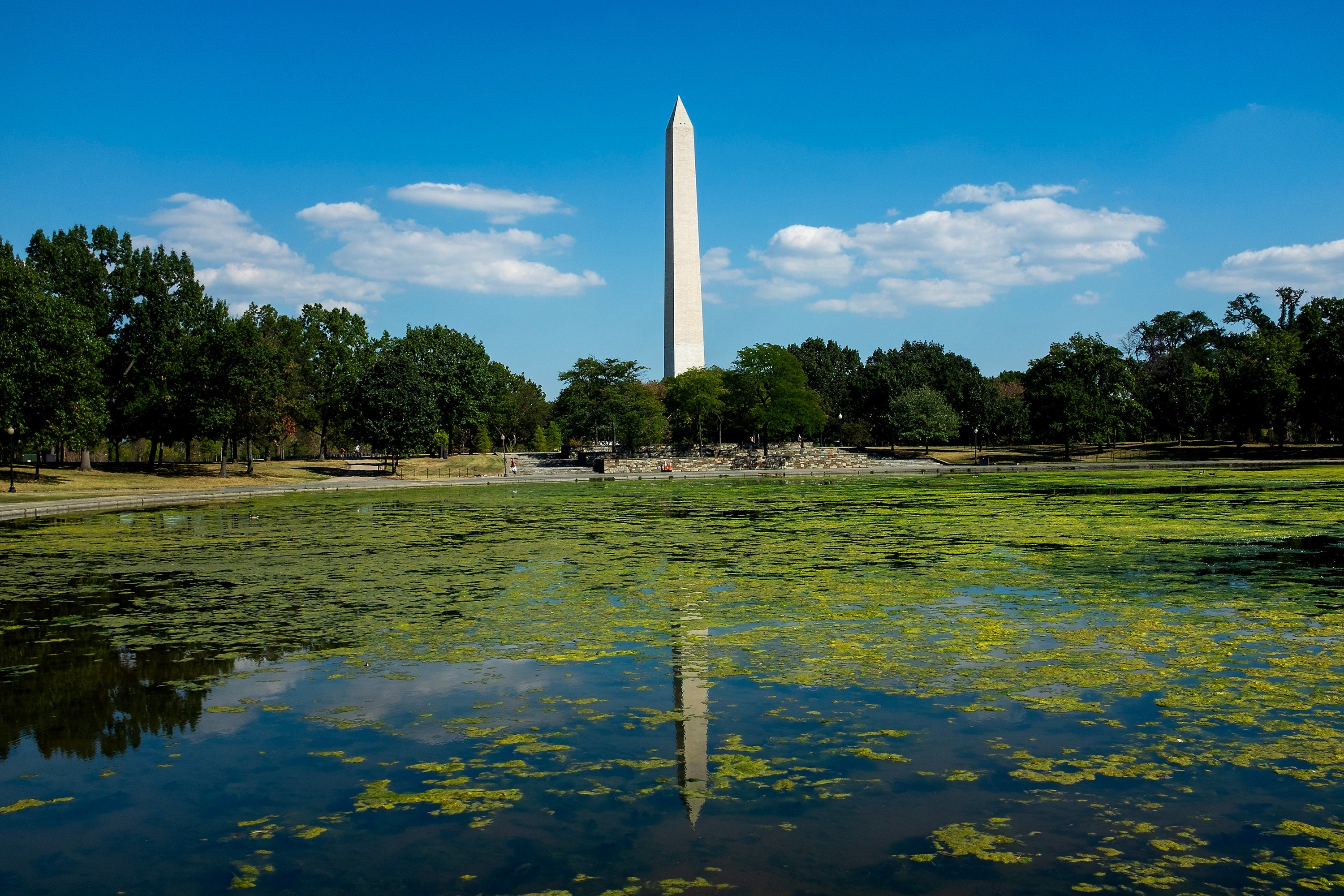 Obelisk stands gangly with trees and a pond successful the foreground, reflecting the entity and monument