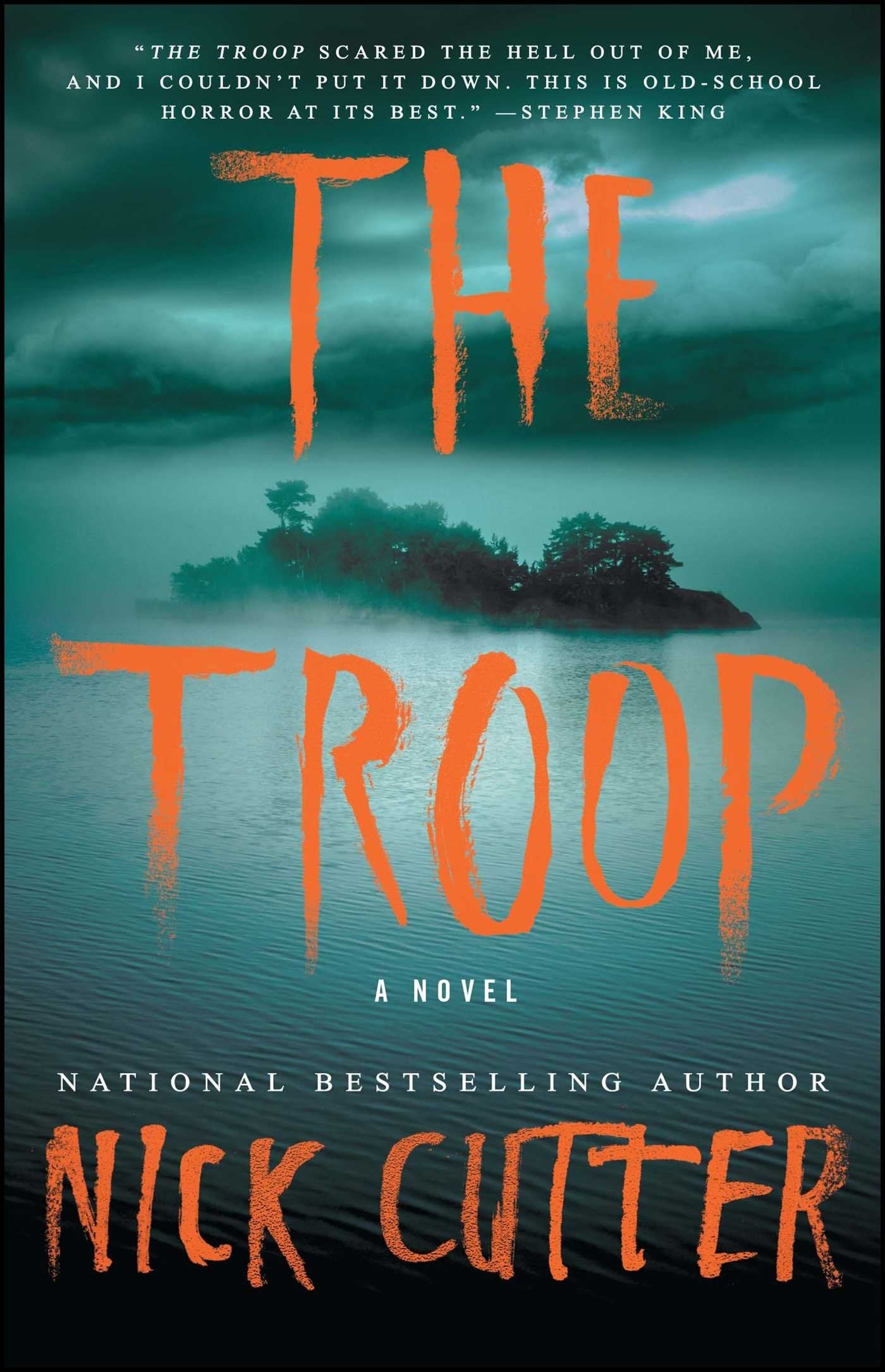 Cover of "The Troop" by Nick Cutter, featuring a misty water scene. A Stephen King punctuation praises the publication arsenic "old-school fearfulness astatine its best."