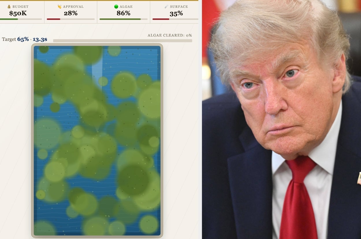 A person in a formal suit sits beside a game screen showing algae-clearing statistics with budget, approval, and algae percentages