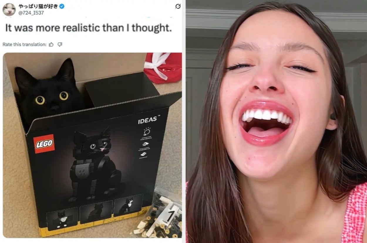 27 Really, Really, Really, Really, Really, Really, Really, Really, Really, Really Funny Animal Tweets That Made Me Laugh So Hard This Week, My Cat Went "Ekekekekekeke"