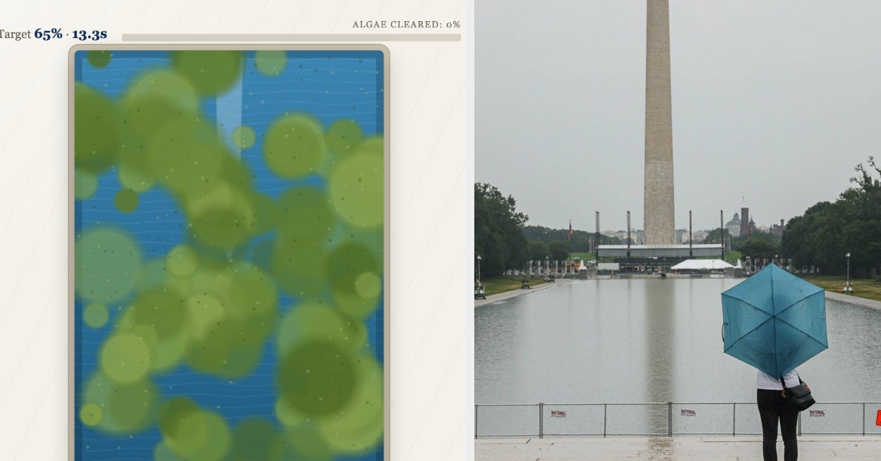I've Played This Game Where You Try To Keep The Reflecting Pool Clean 3 Times And It's Funnier Each Time