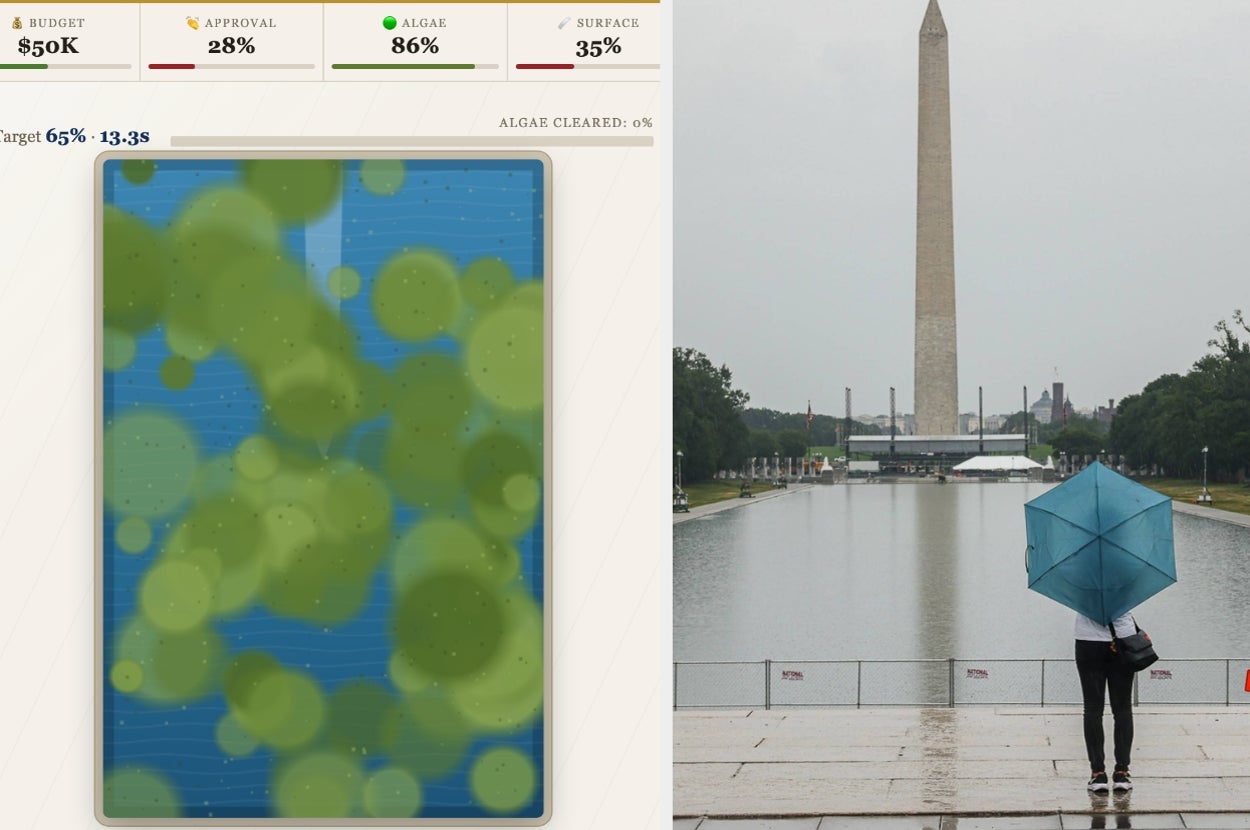 This Game Will Challenge You To Keep Algae Out Of The Reflecting Pool