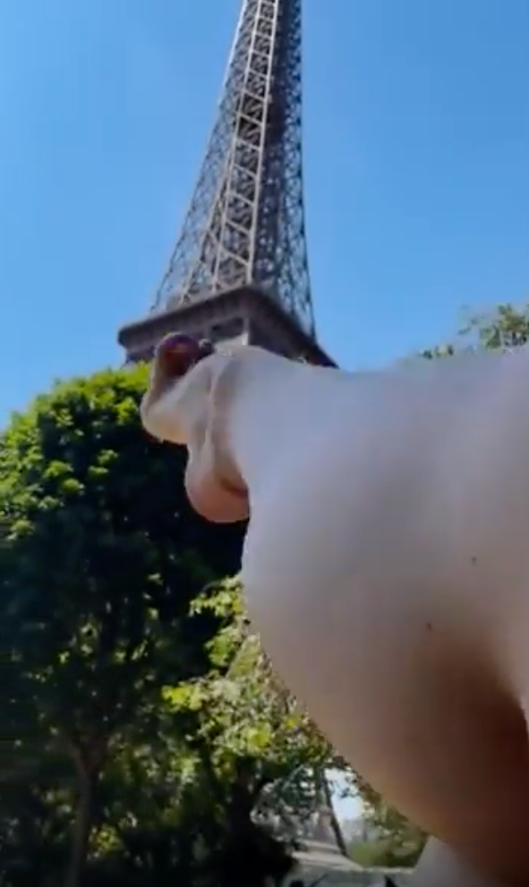 View from below a dog's chin with the Eiffel Tower in the background