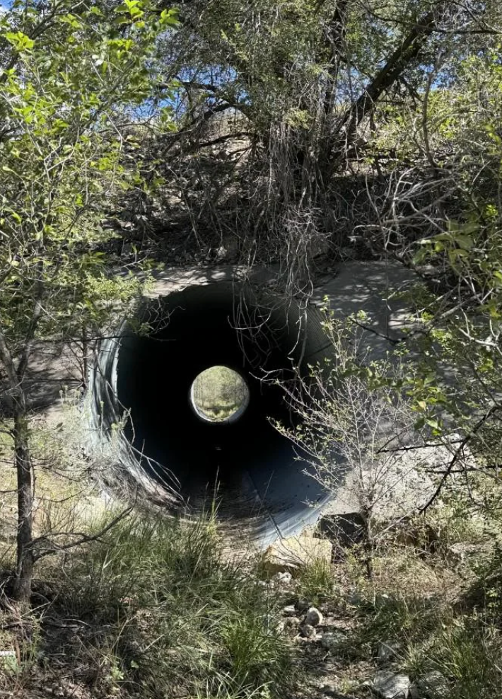 A large circular tunnel opening surrounded by trees and grass, with light visible at the other end