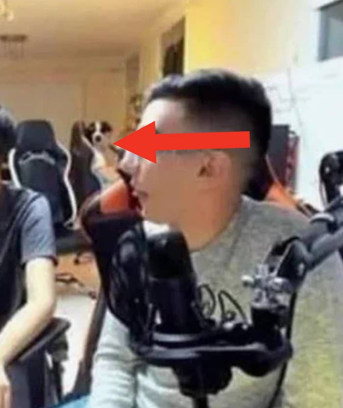 A person wearing glasses and a headset speaks into a microphone during a casual gaming or podcast session