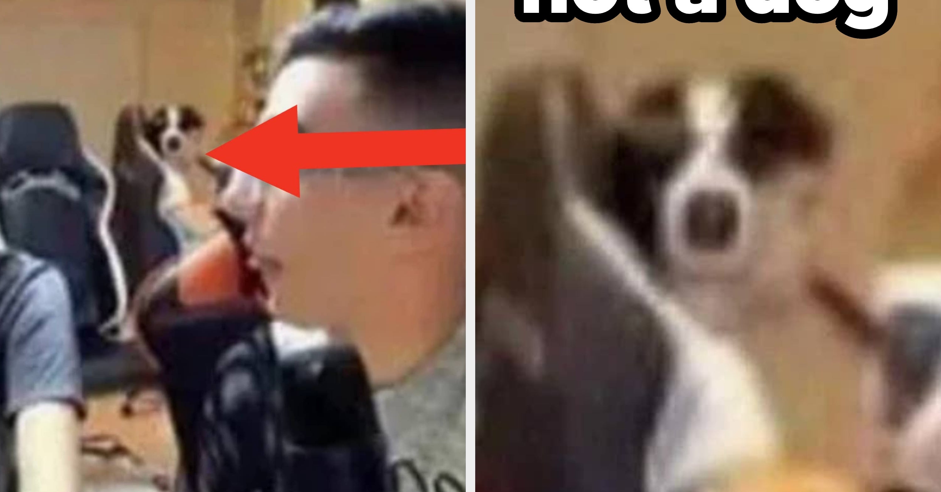 20 Photos So Bewildering They'll Completely Obliterate Your Sense Of What's Real And What Isn't