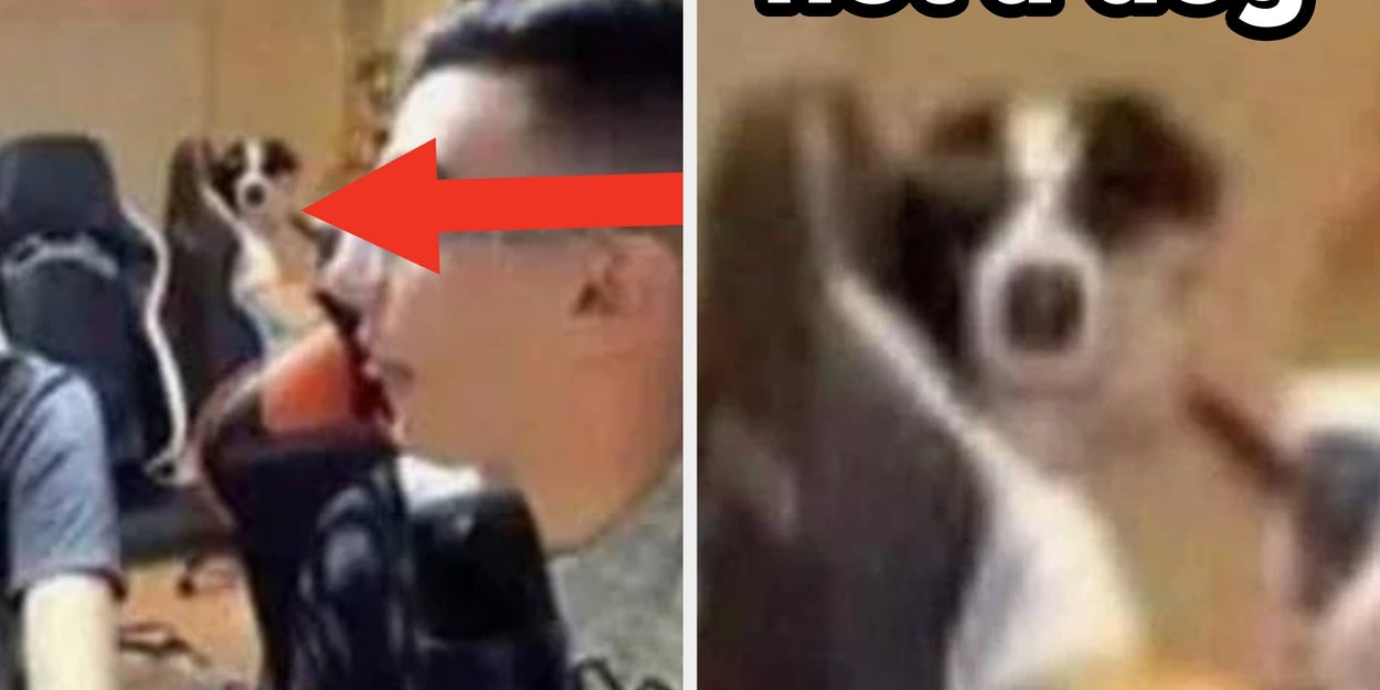 20 Mind-Bending Photos That'll Break Your Brain