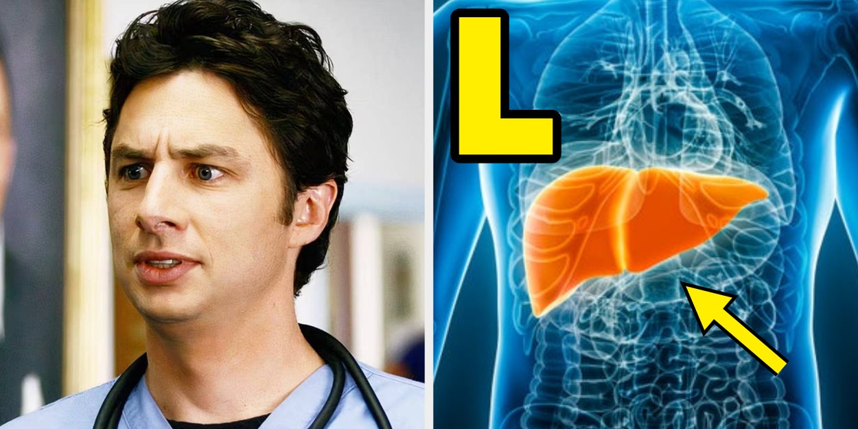 If You Can Pass This A-Z Parts Of The Body Quiz, You Deserve A PhD