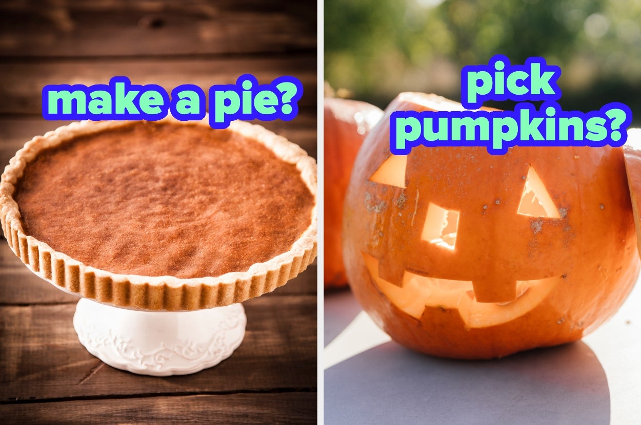 Left: Baked pie on a stand. Right: Carved pumpkin with a smiling face. Text asks, "make a pie?" and "pick pumpkins?"