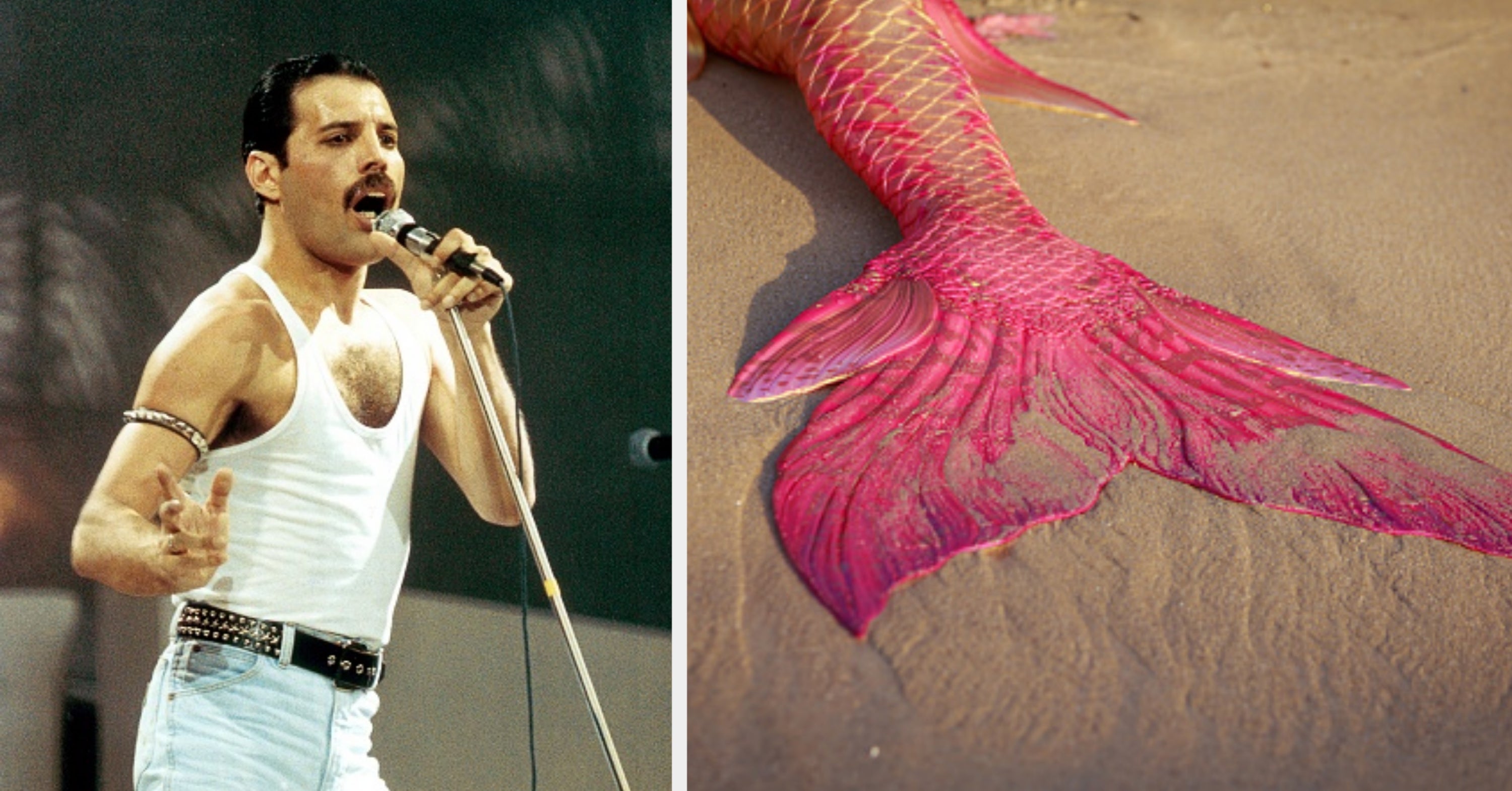 Choose A Song From Each Decade And I'll Reveal The Magical Creature You're Most Like
